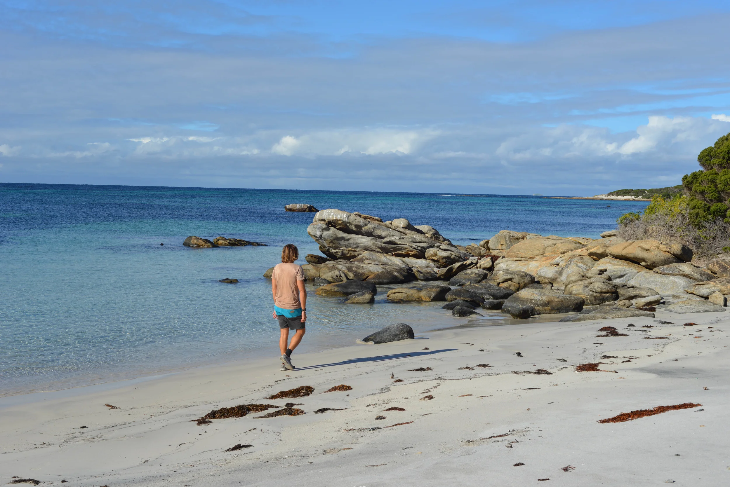DSC_2295.jpg