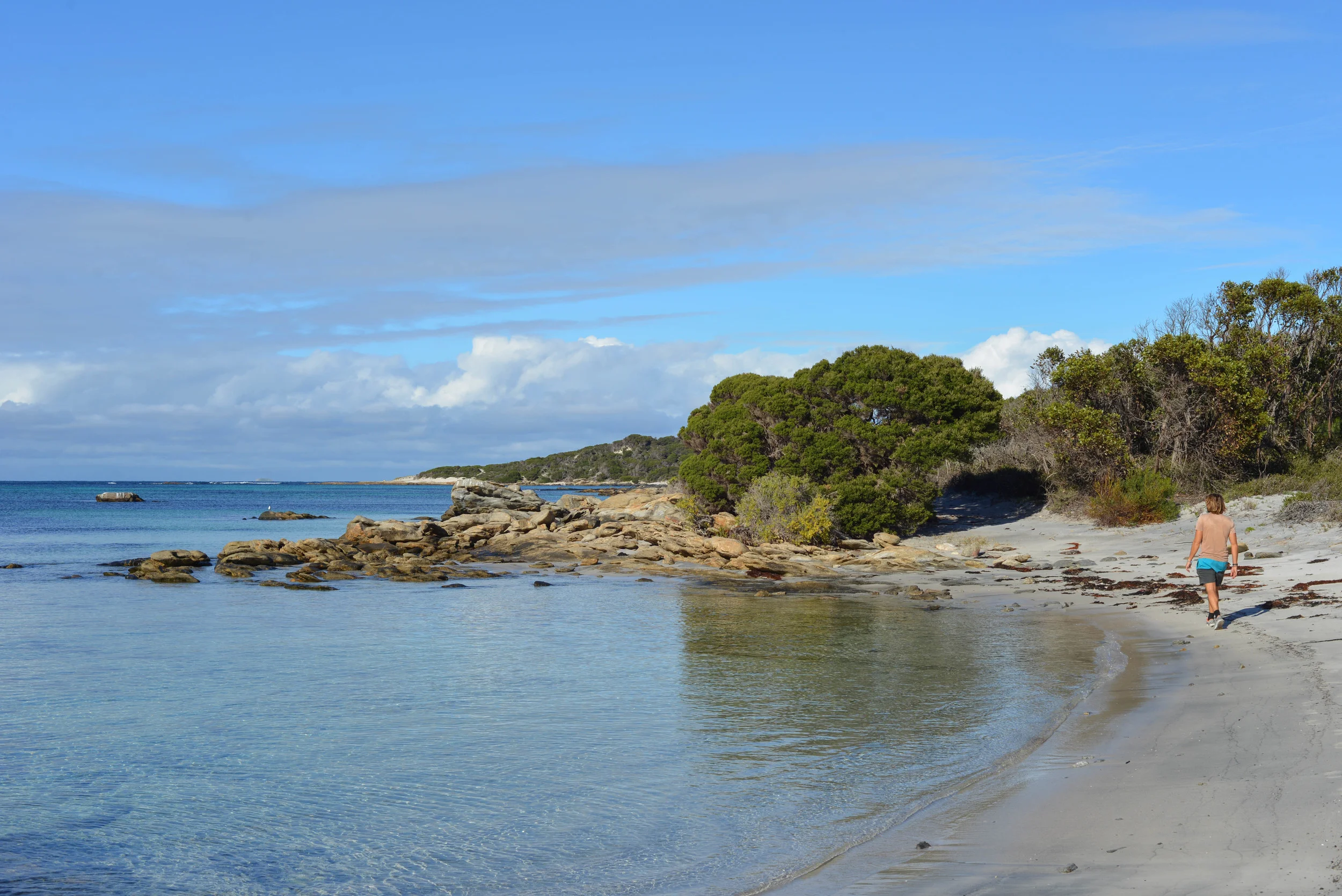 DSC_2294.jpg