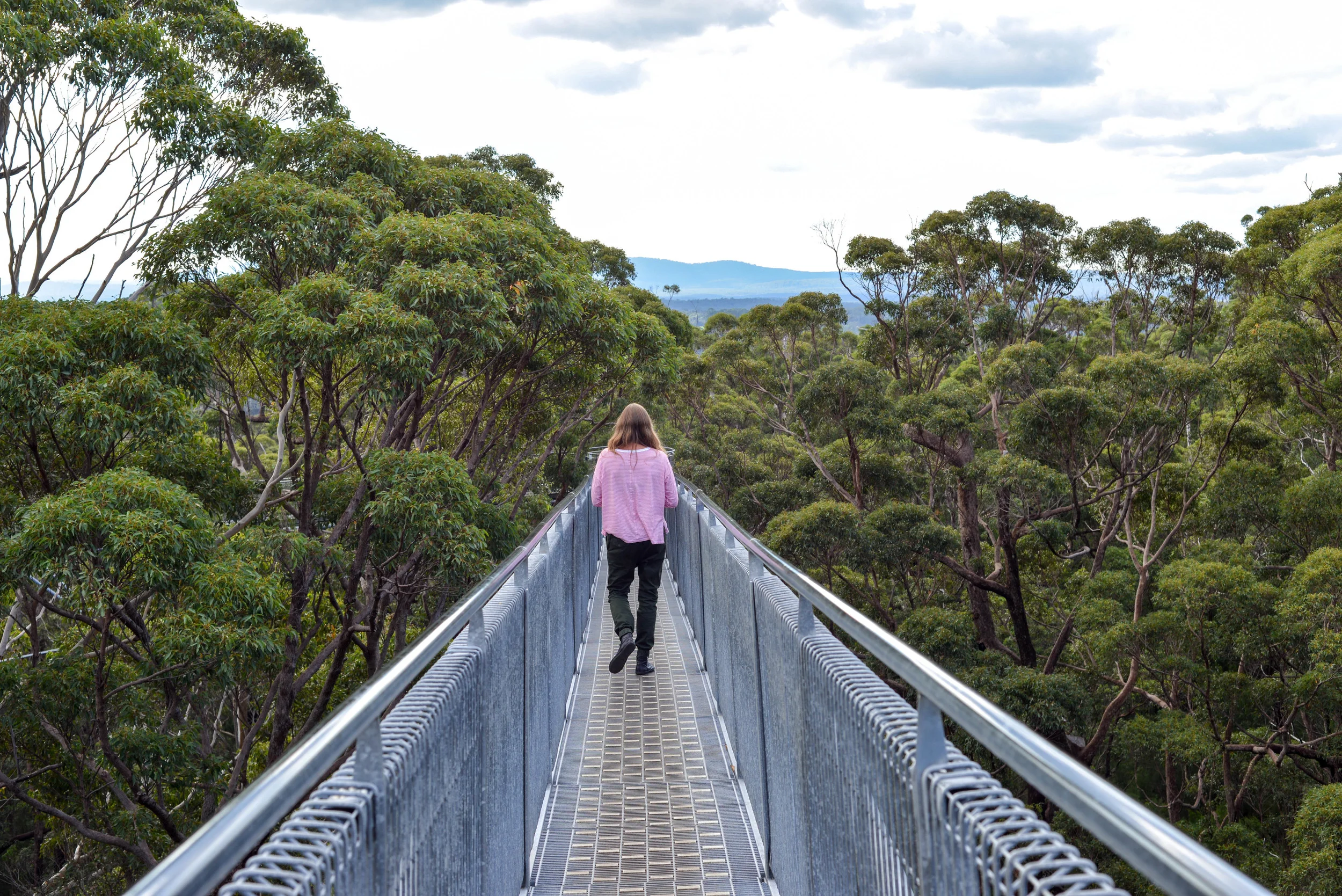 Tree top walk just outside of Denmark, Western Australia.