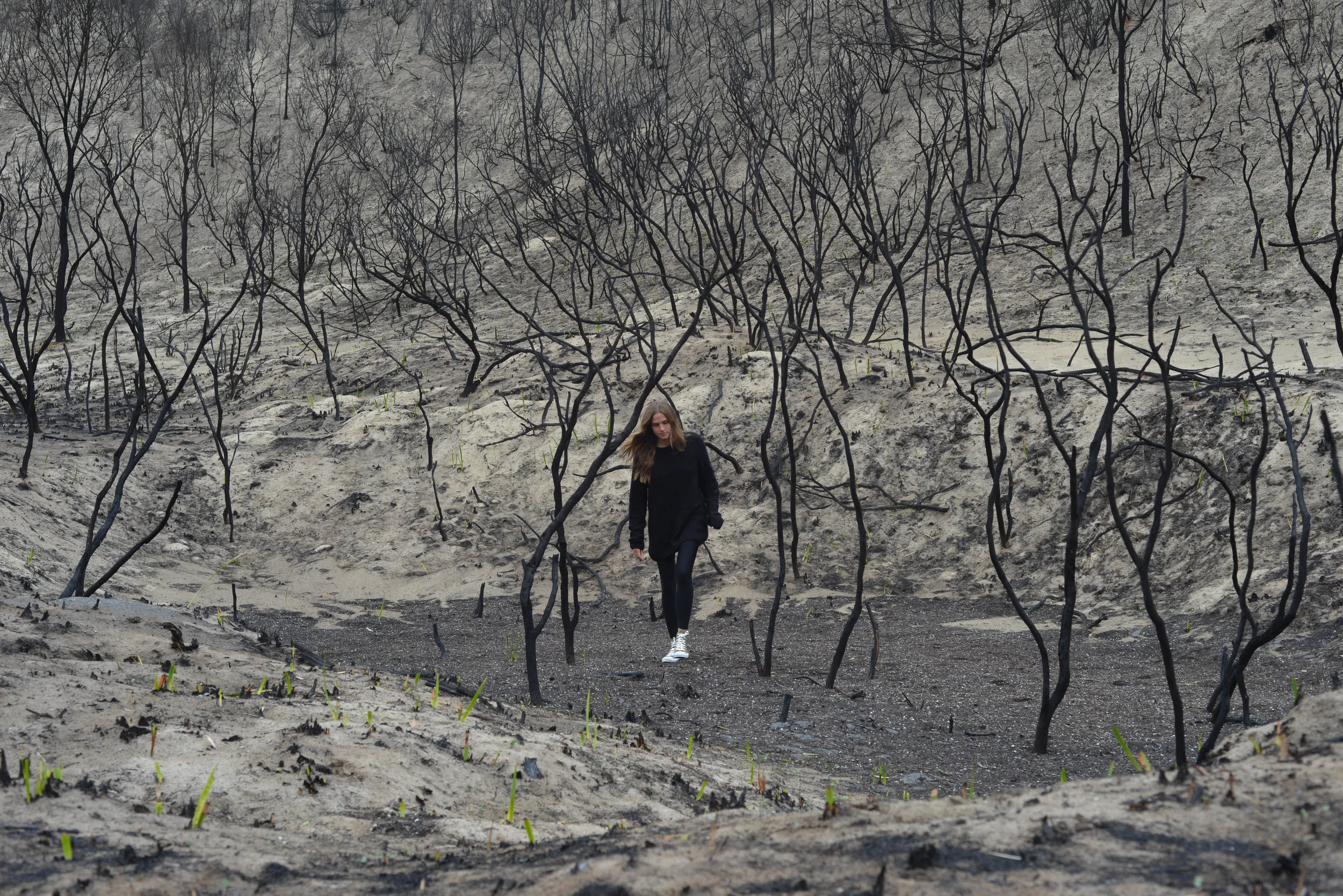 After a bush fire, Coffin Bay National Park in South Australia. 