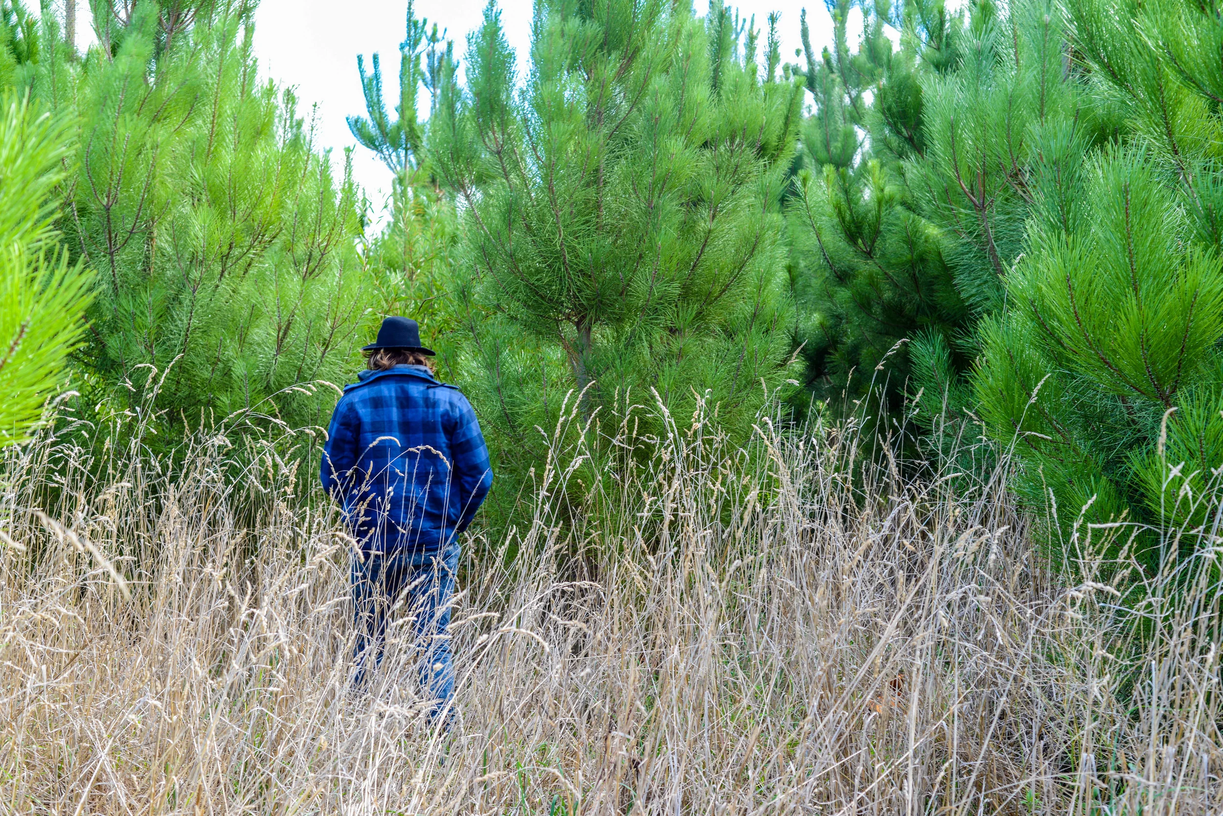 Bush walking through the pines in Mount Gambier, South Australia.