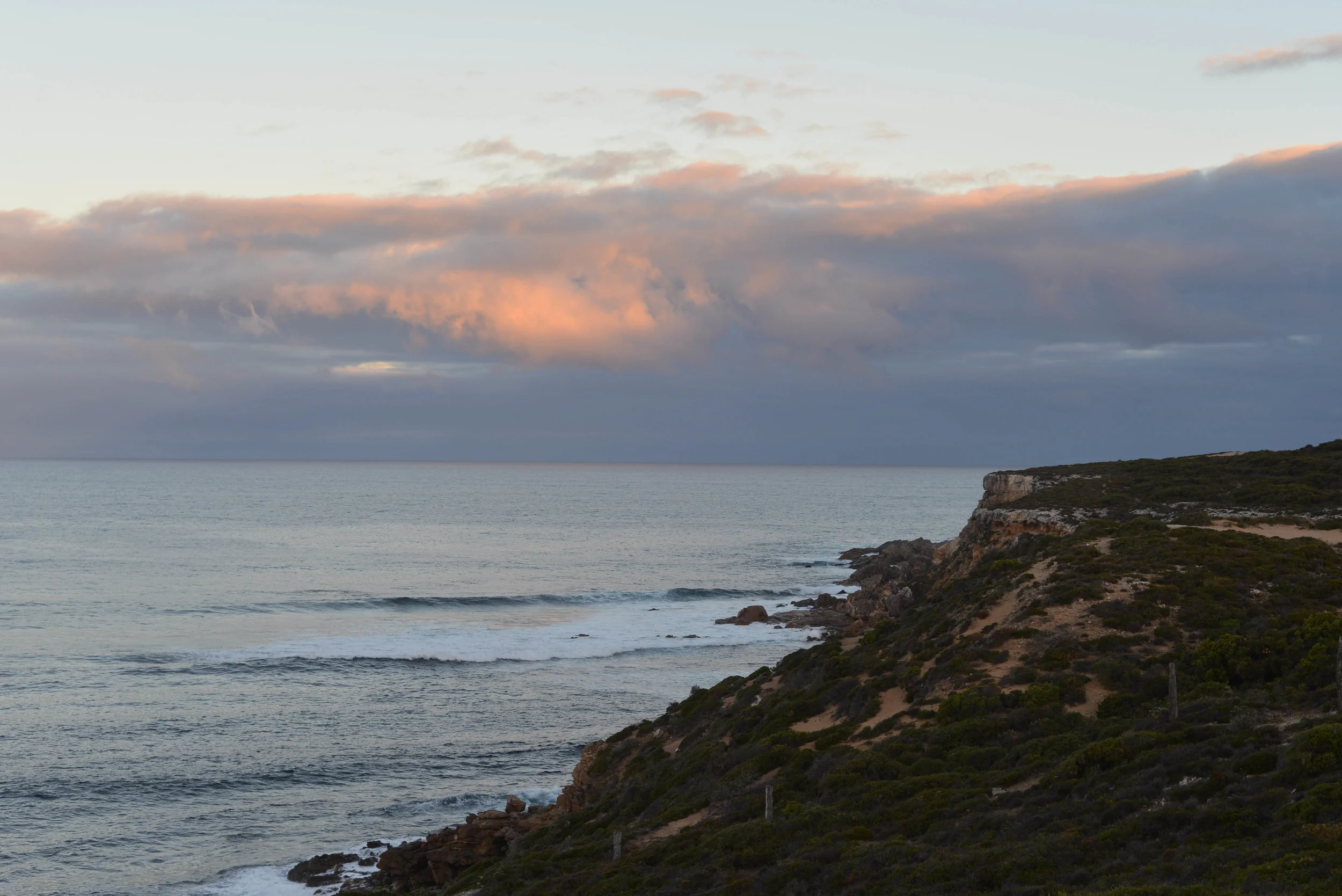 DSC_2771.jpg