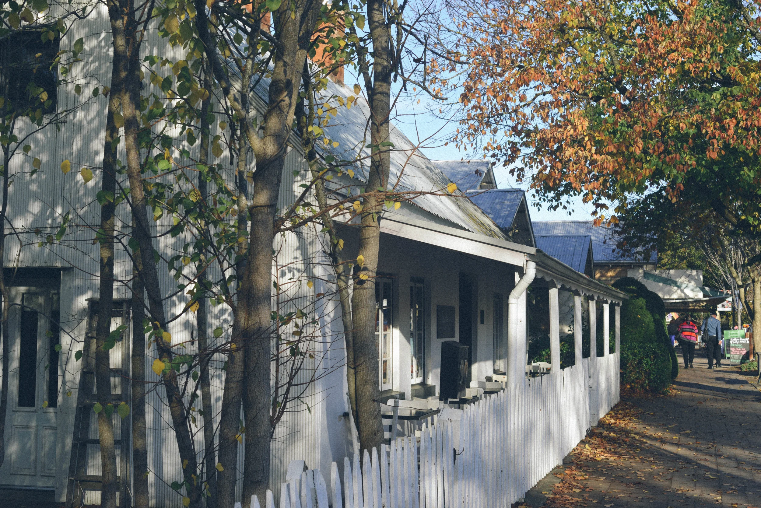 DSC_2996.jpg