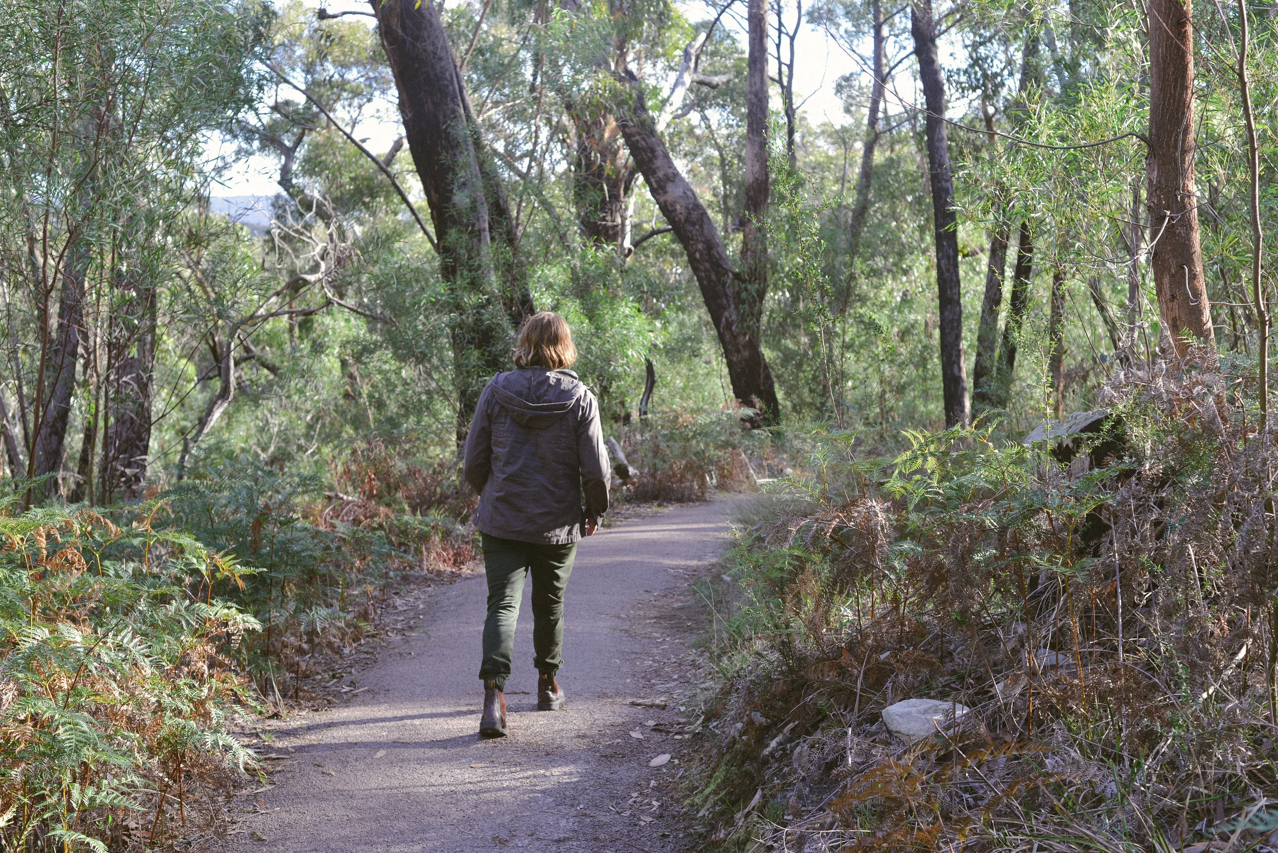 DSC_3094.jpg