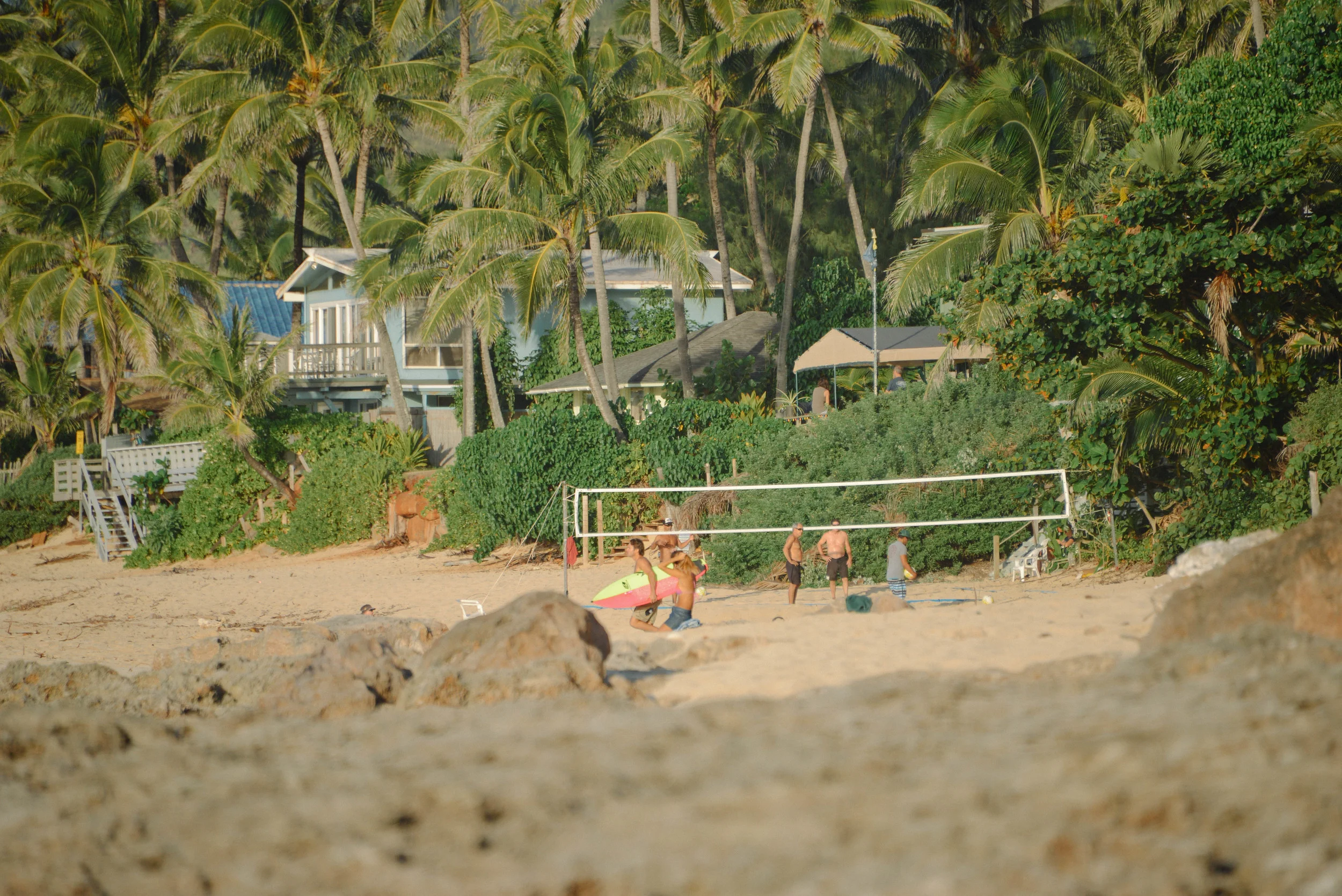 DSC_7353.jpg