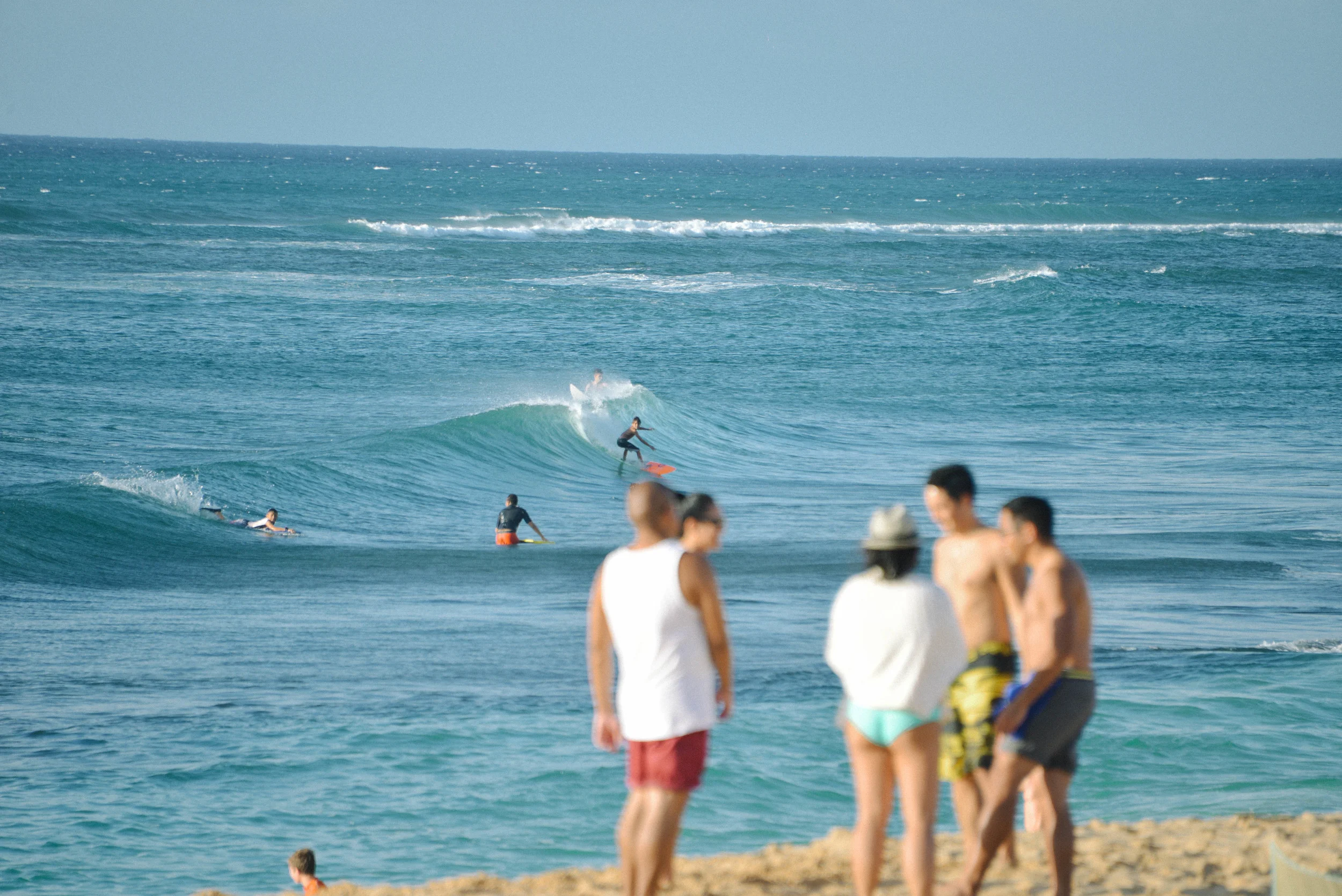 DSC_7327.jpg