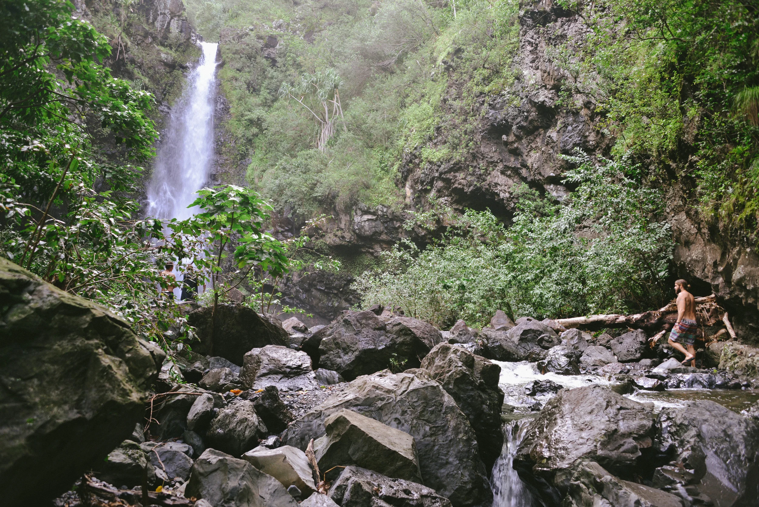 DSC_8100.jpg
