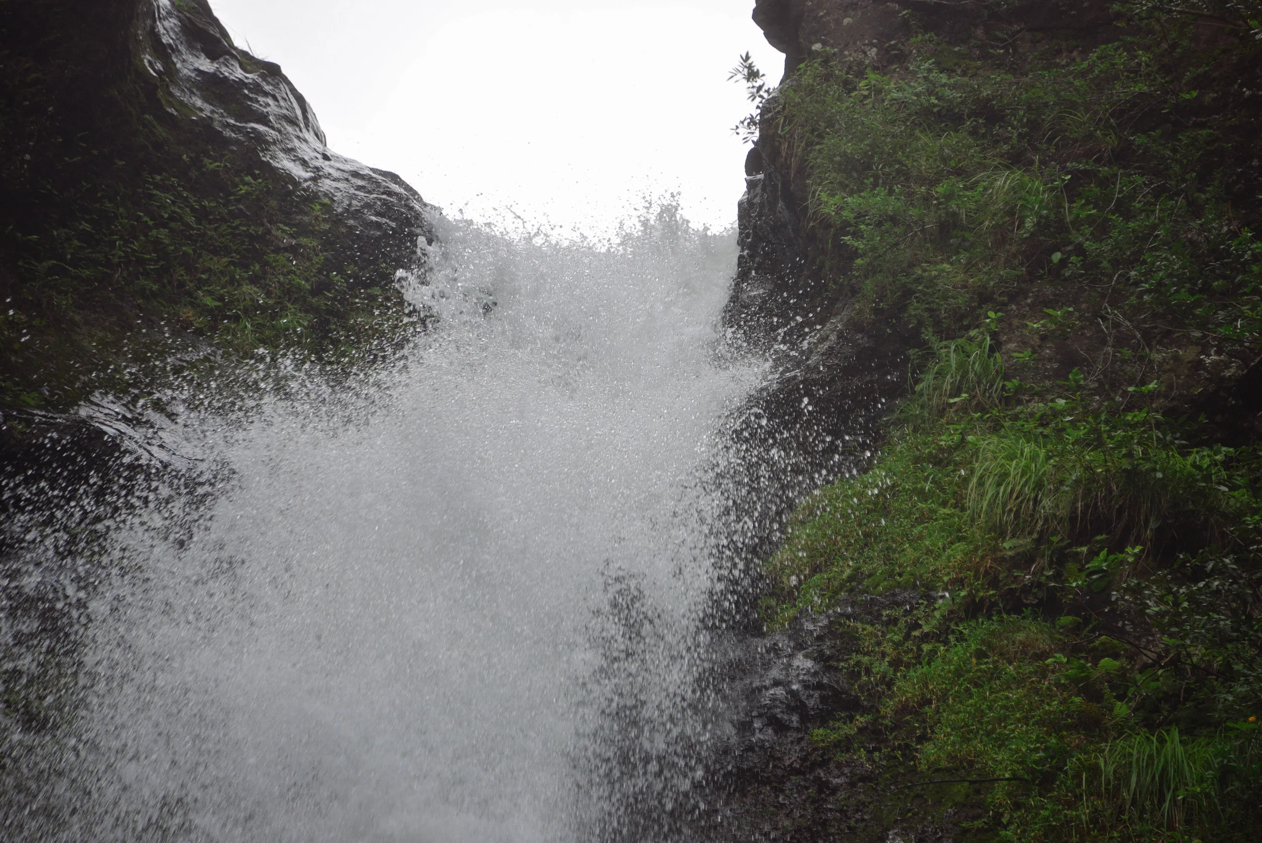DSC_8134.jpg