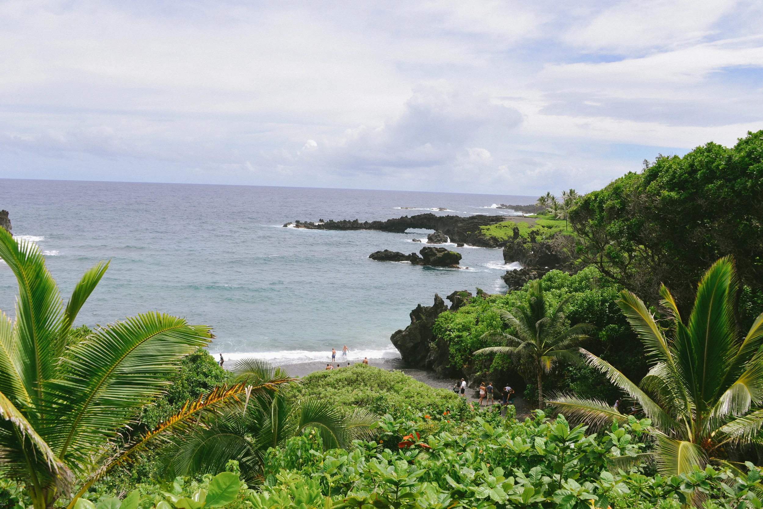 DSC_8024.jpg