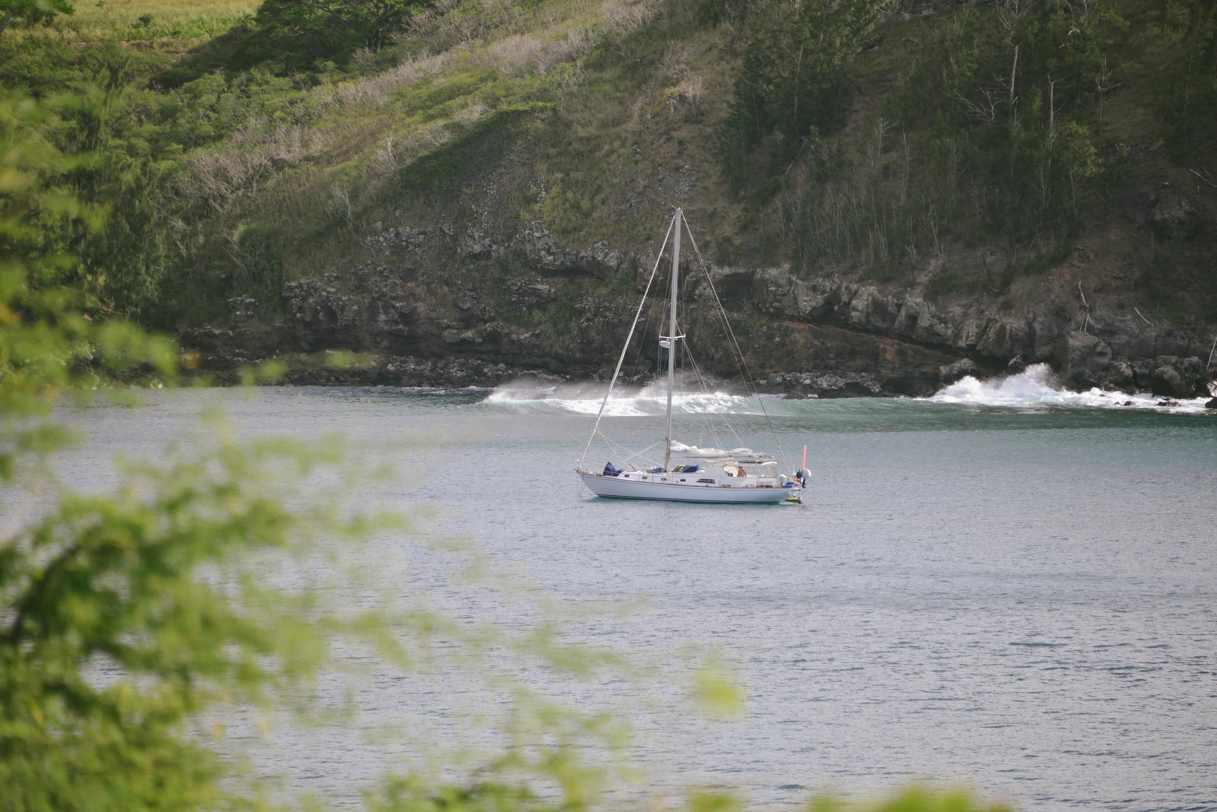 DSC_8186.jpg