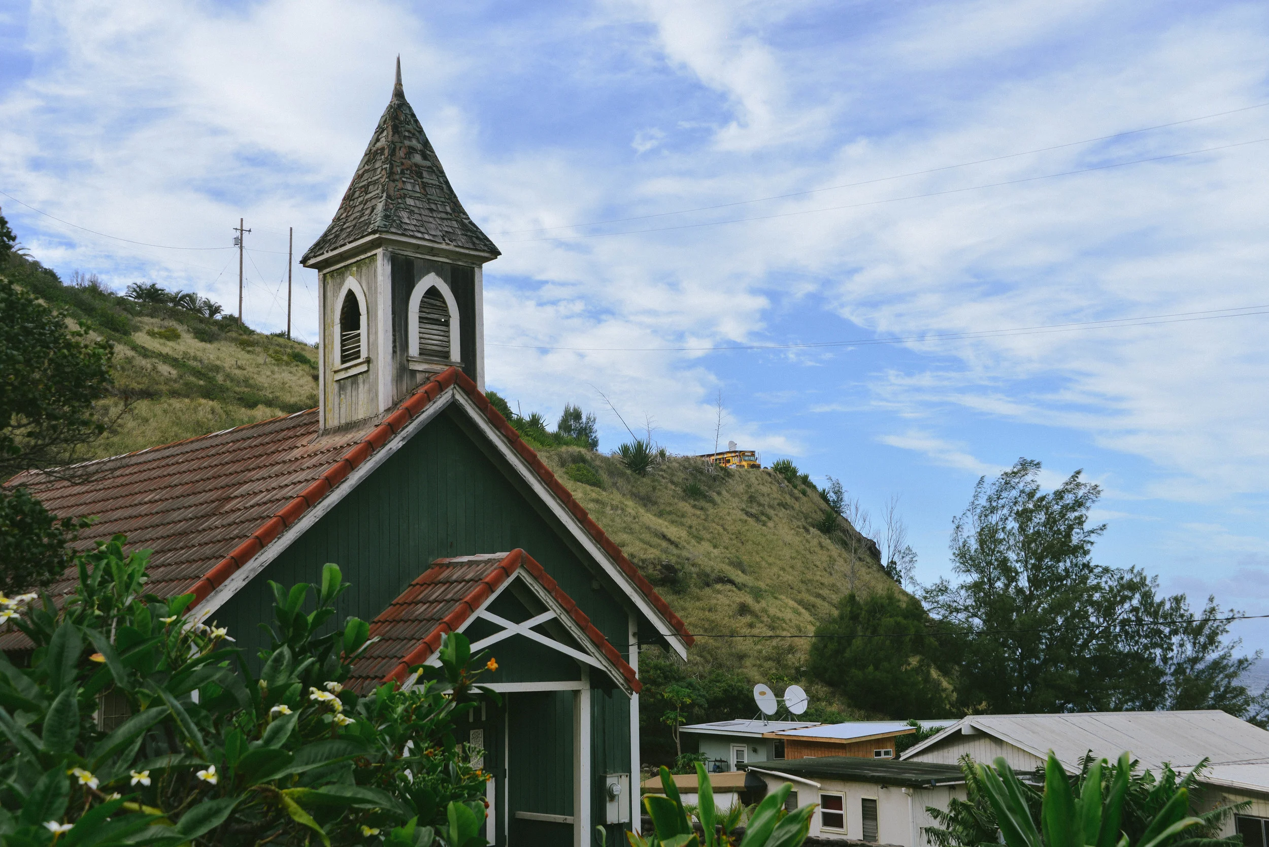 DSC_8236.jpg