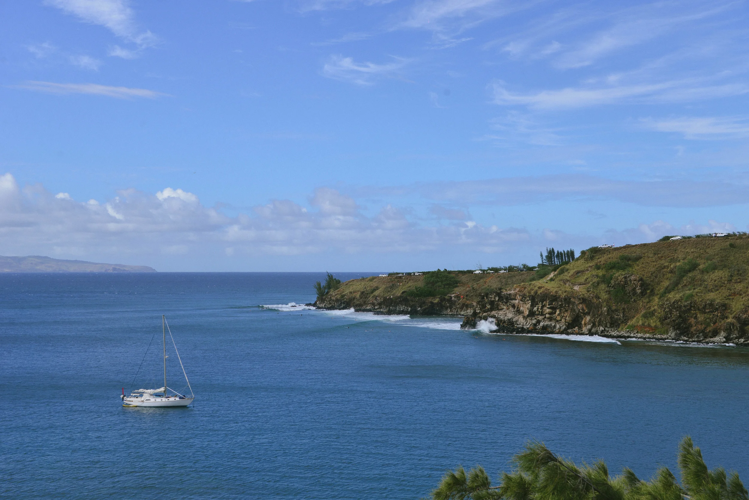DSC_8177.jpg