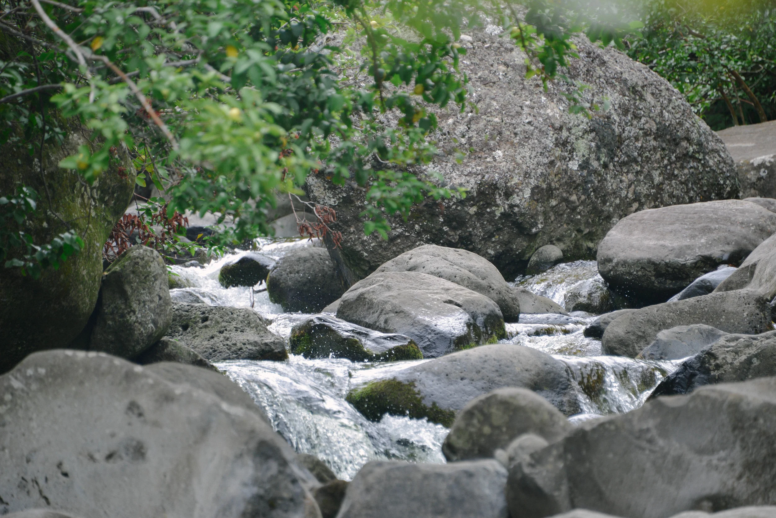 DSC_7898.jpg
