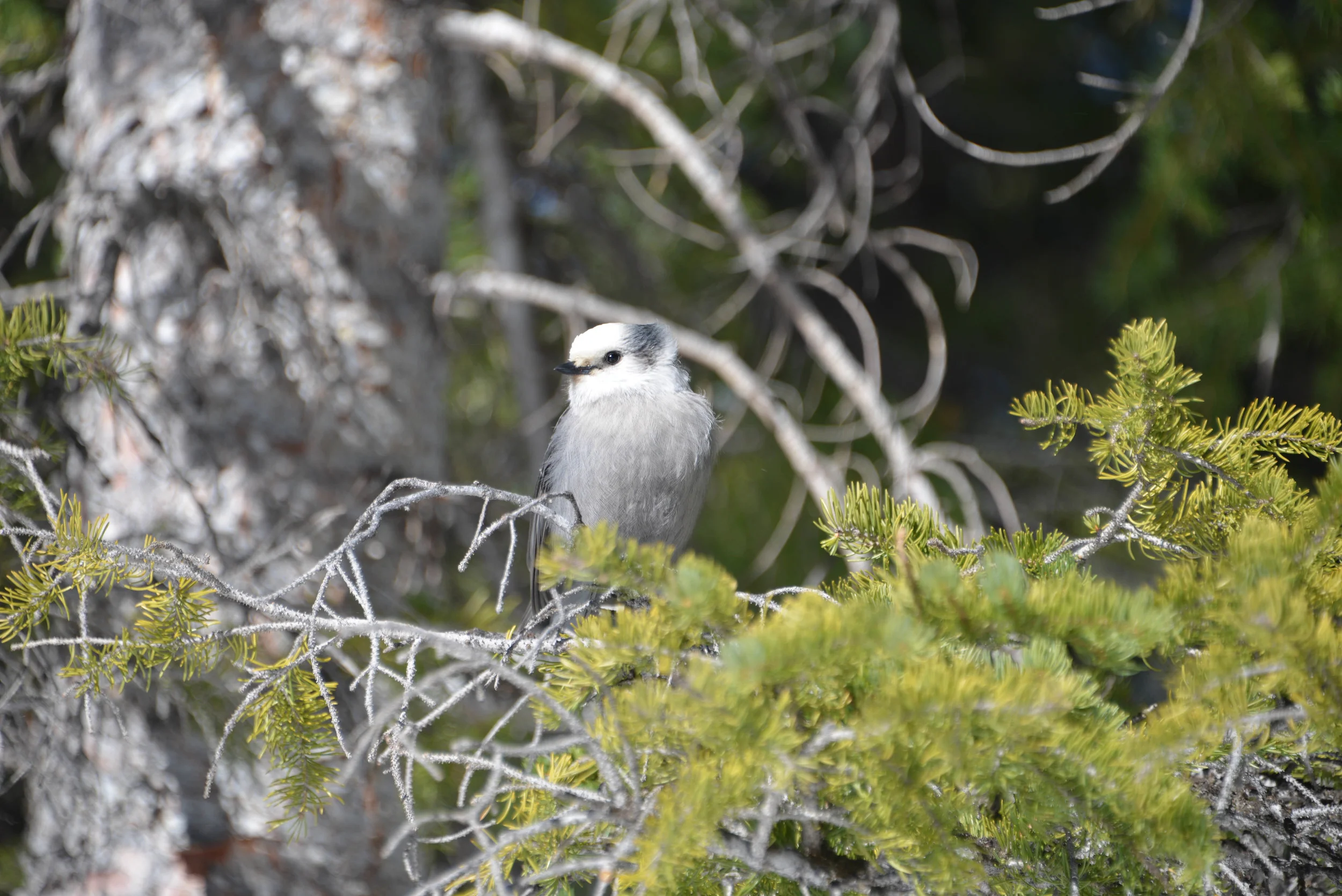 DSC_9177.jpg