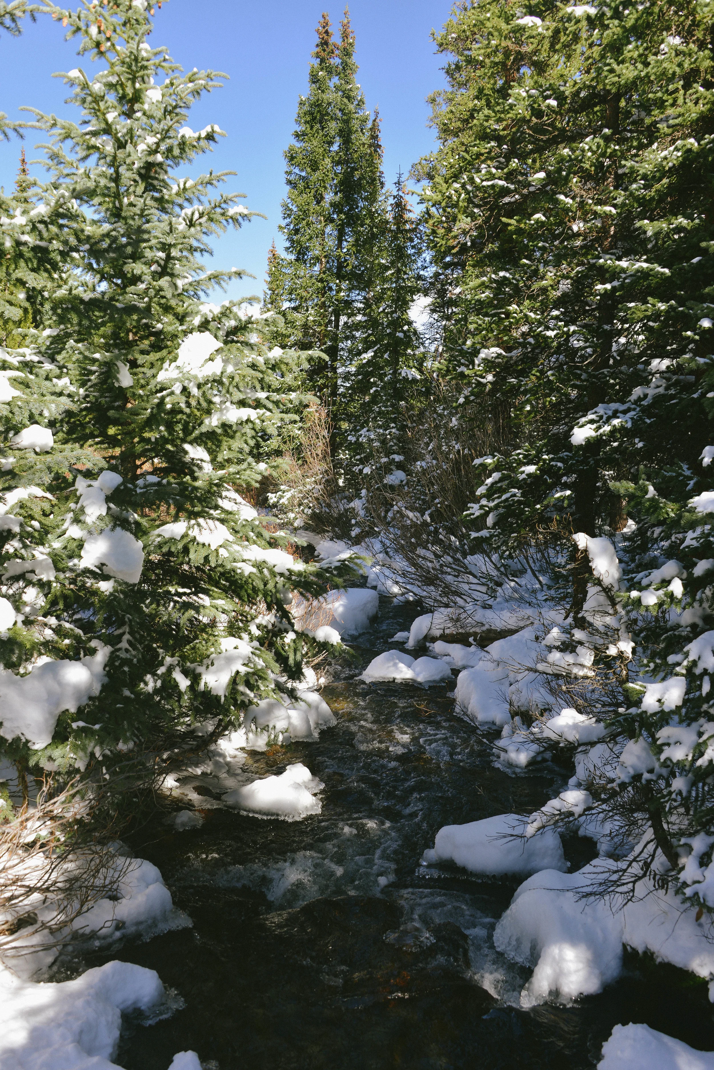 DSC_9105.jpg