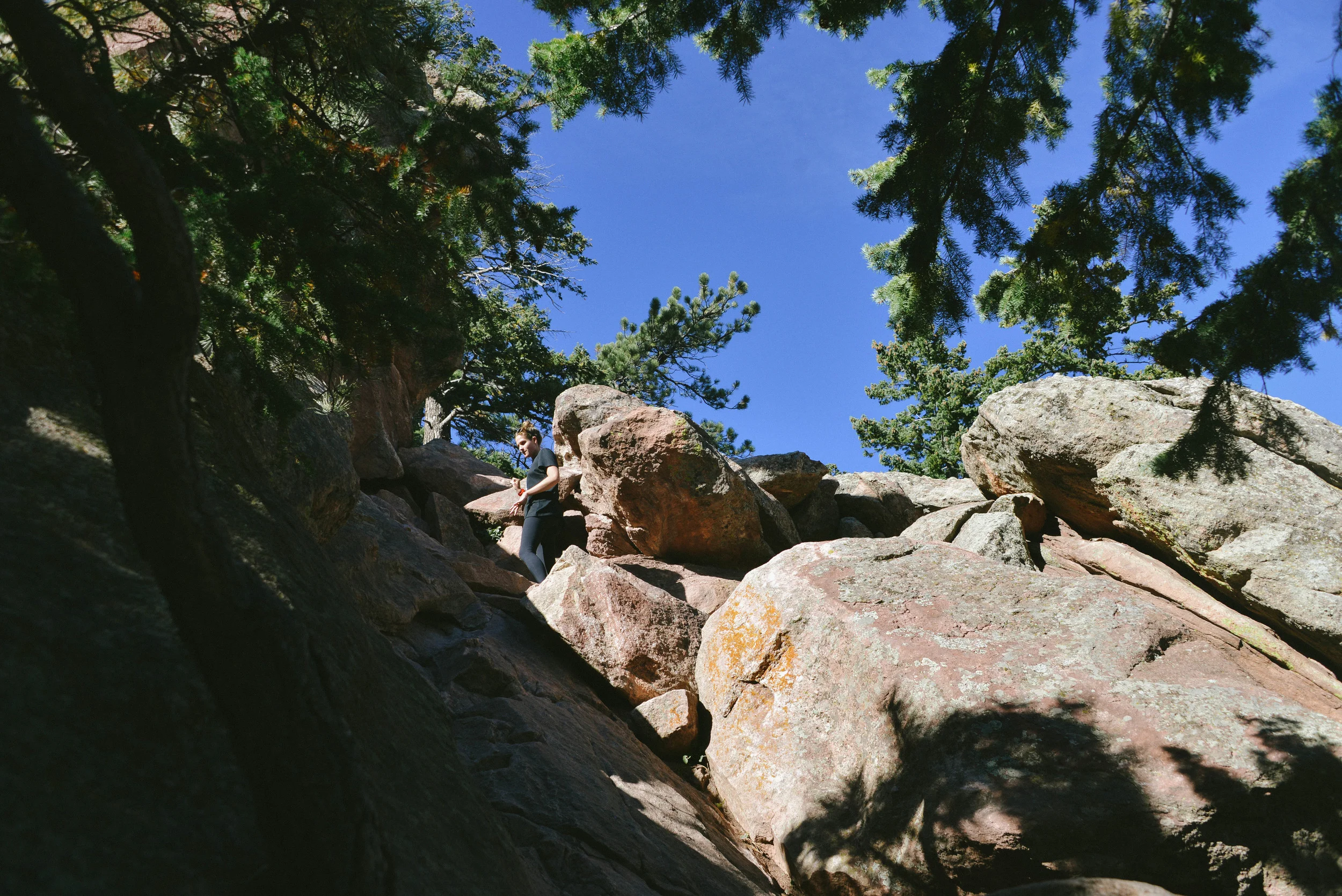 DSC_9467.jpg