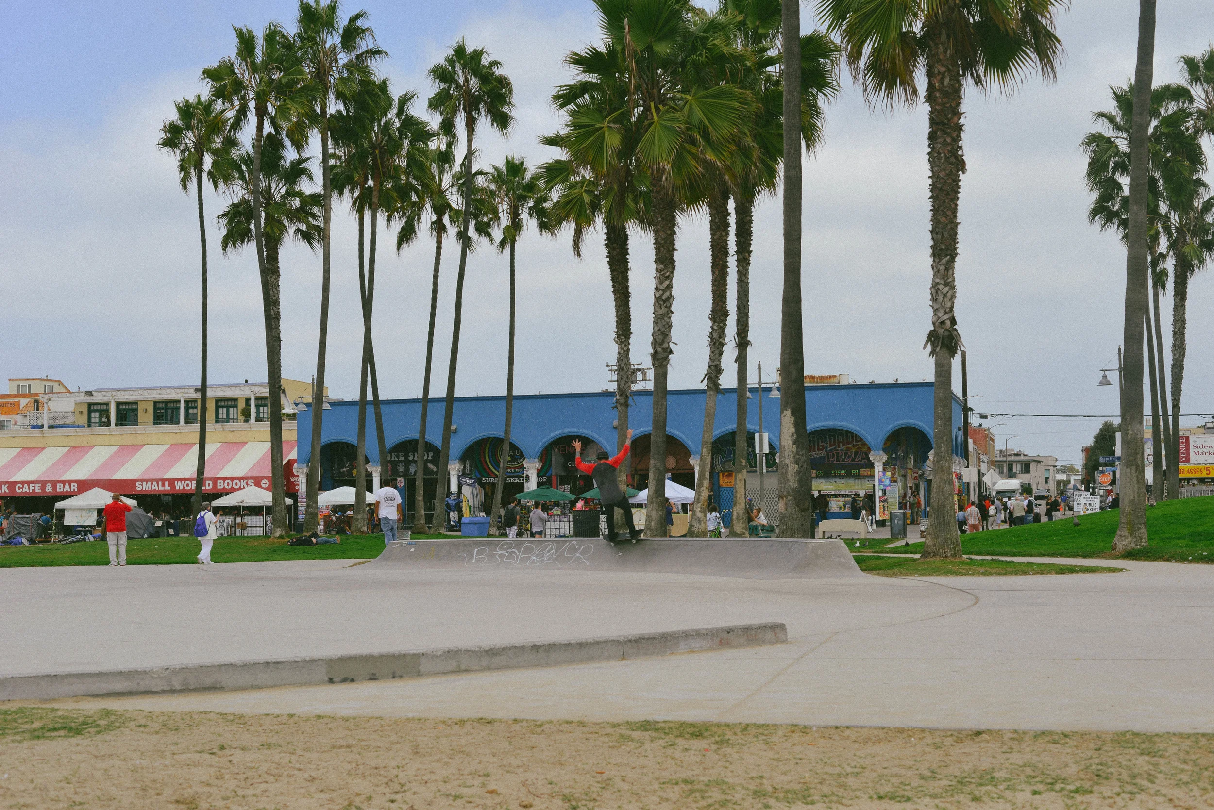 DSC_9538.jpg