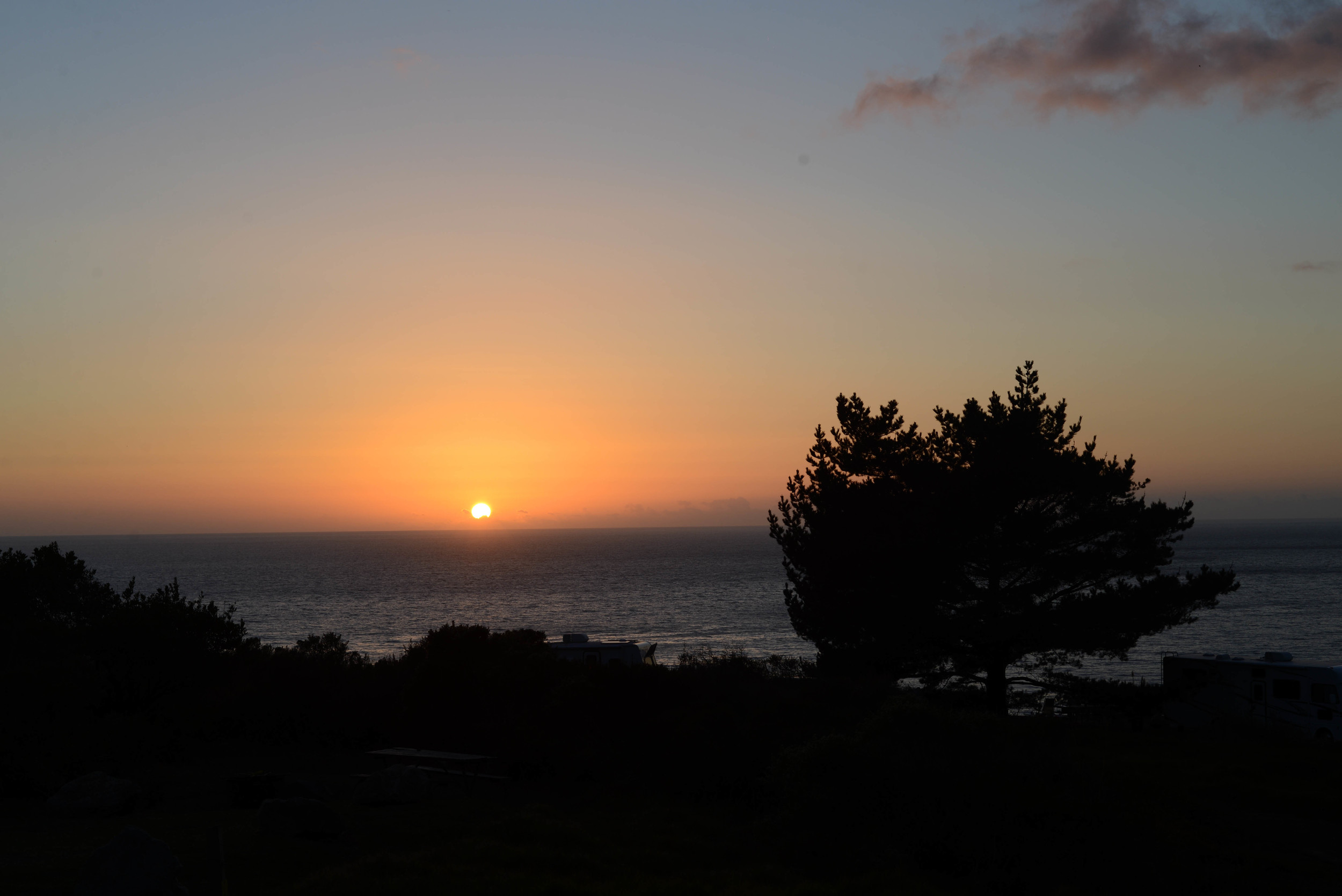 DSC_0136.jpg