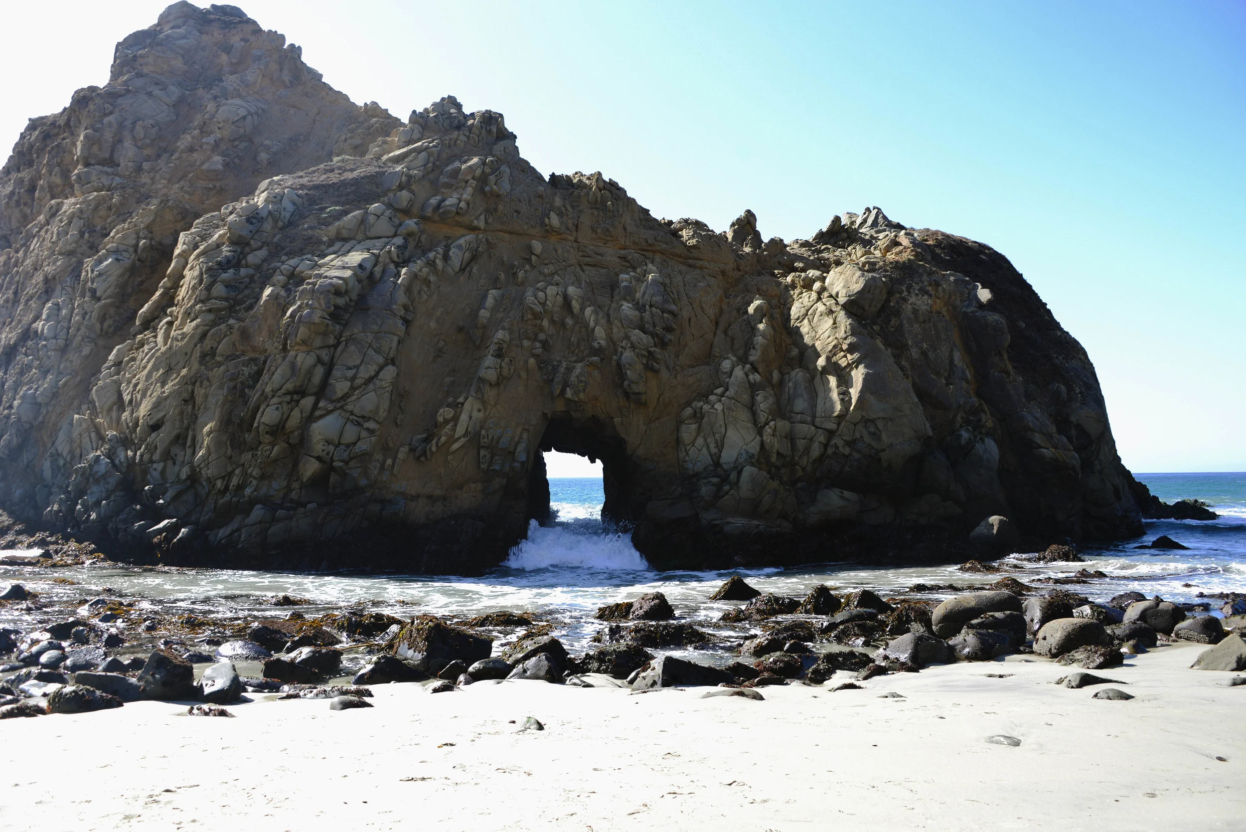 DSC_0256.jpg