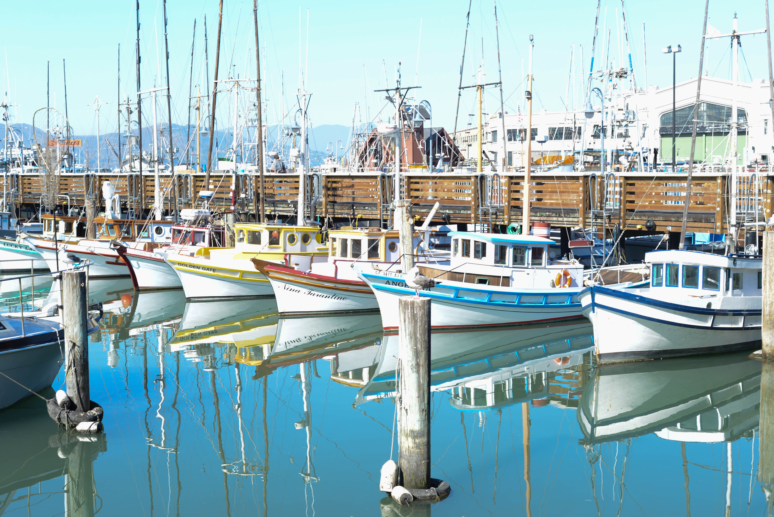 DSC_0389.jpg
