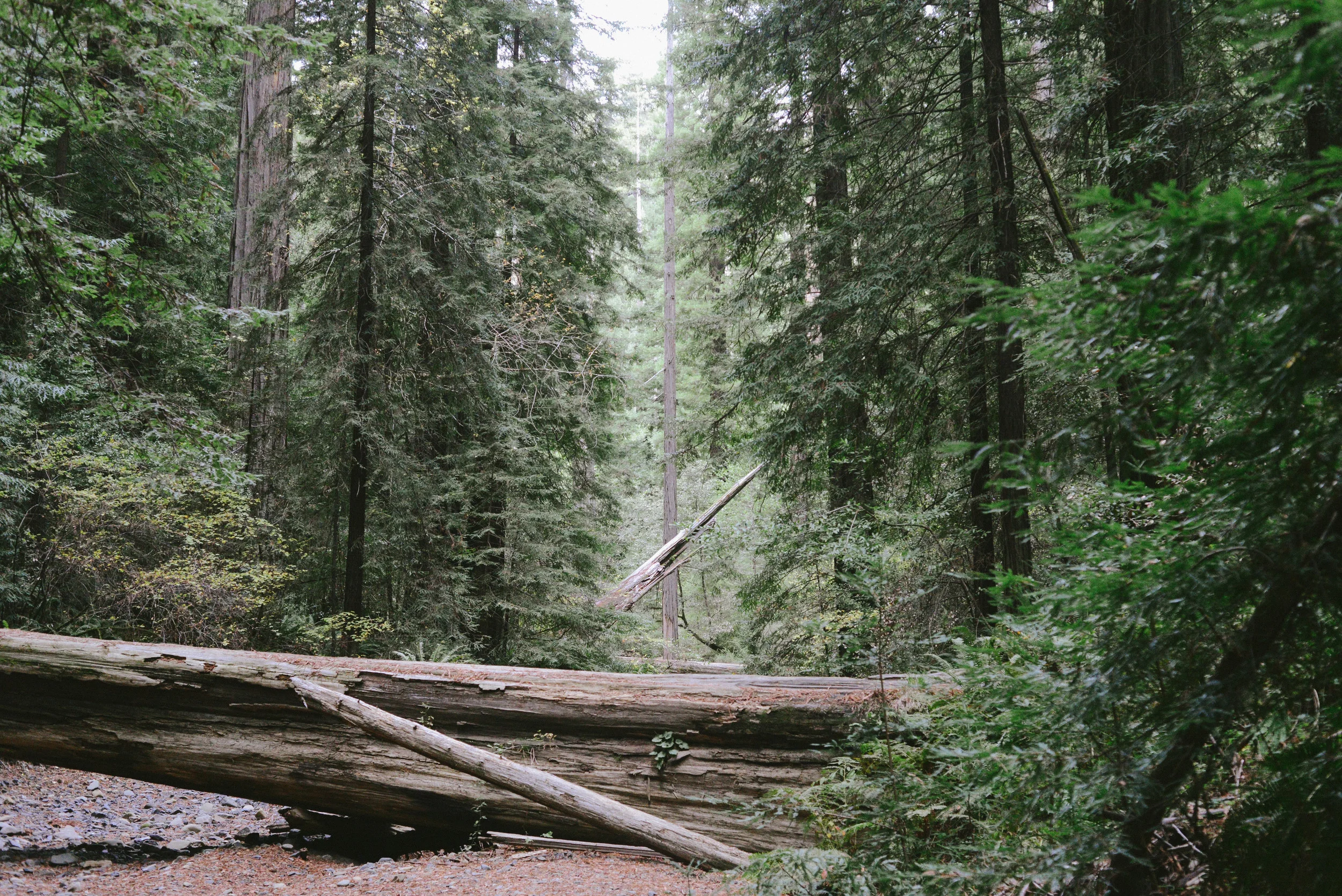 DSC_0696.jpg