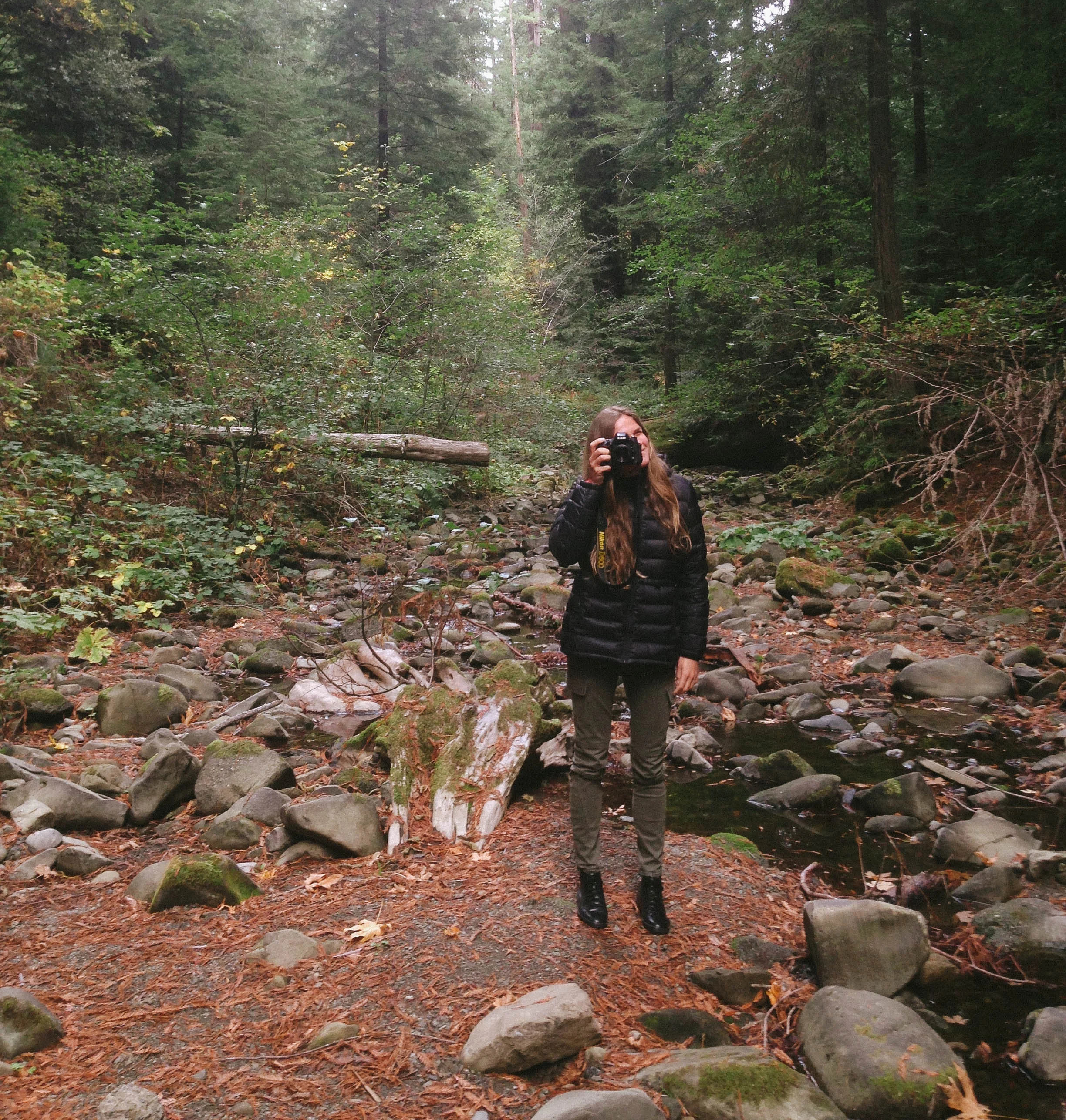 Jess documenting our adventures through the redwoods.
