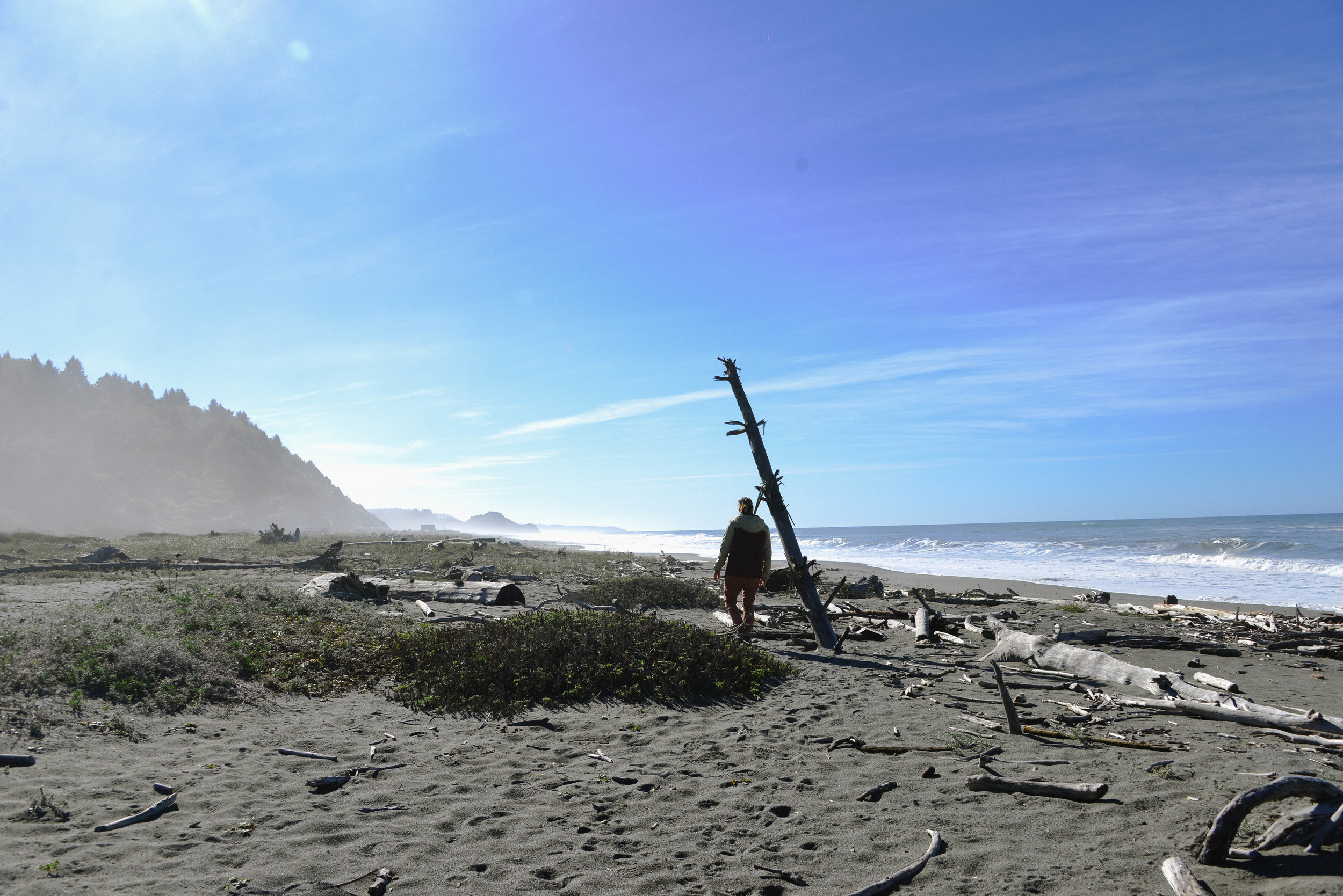 DSC_0856.jpg