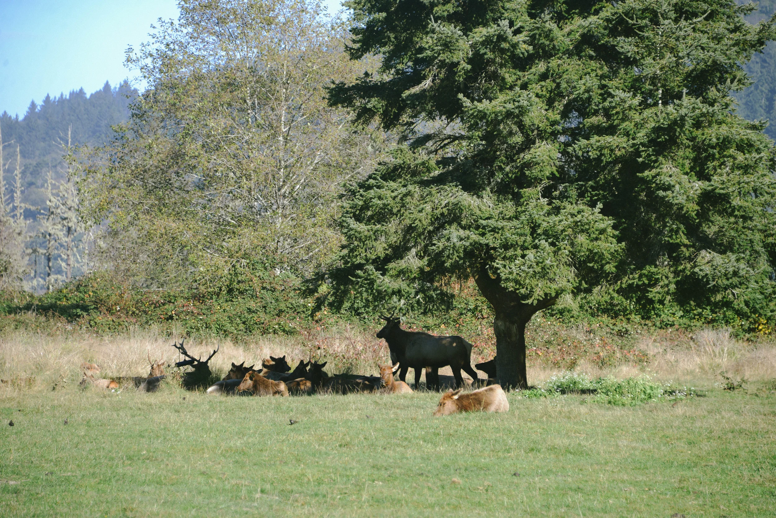 DSC_0838.jpg