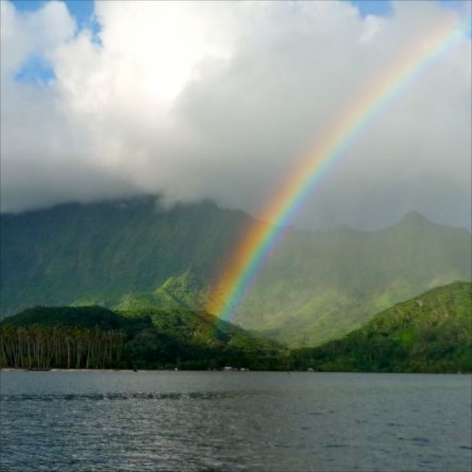 Rebel under a rainbow hehe. Photo by Liz Clark.