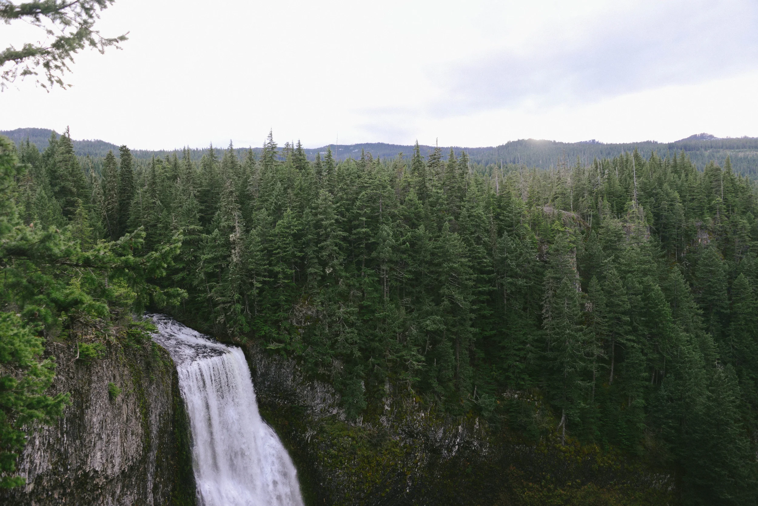 DSC_1520.jpg