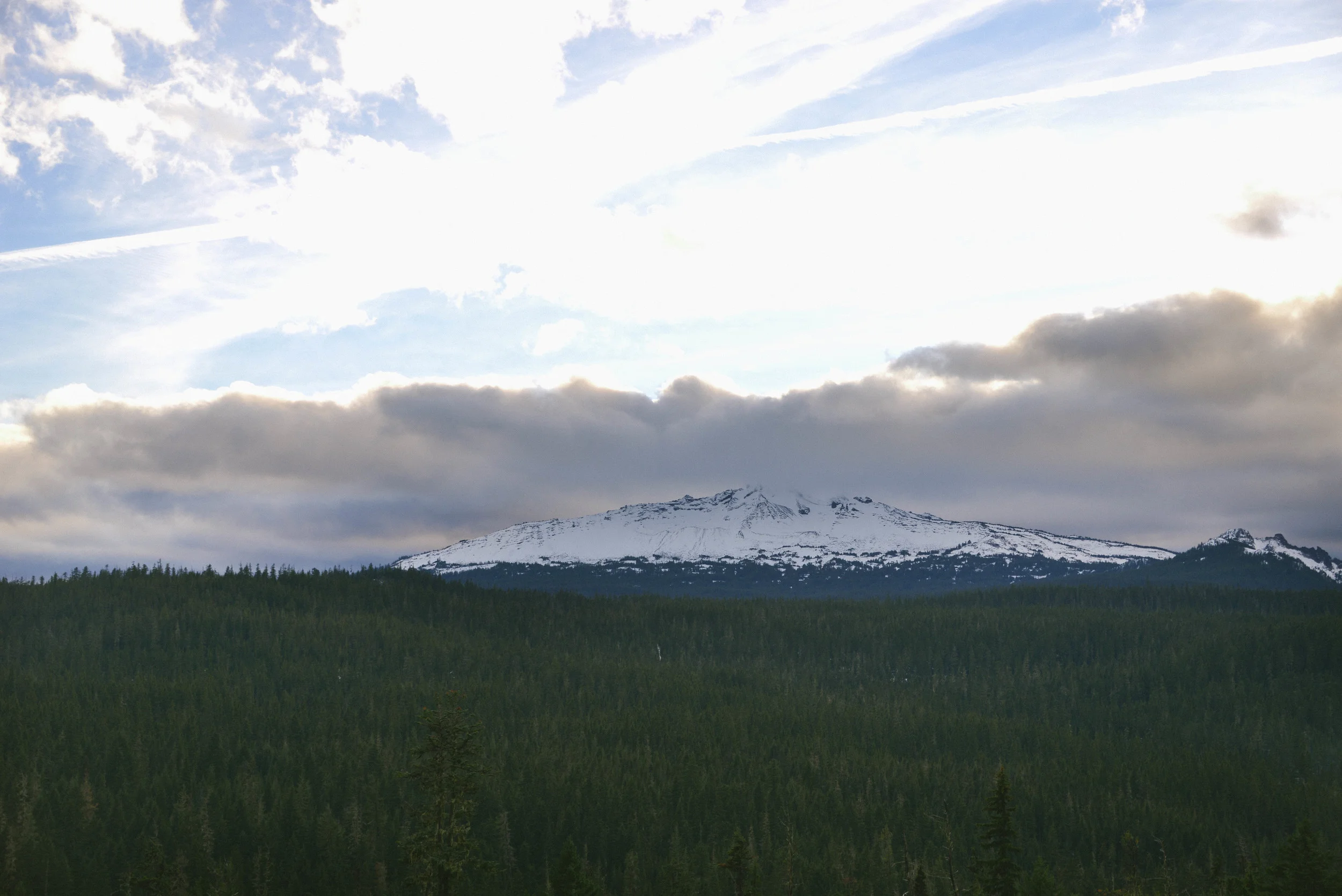 DSC_1534.jpg