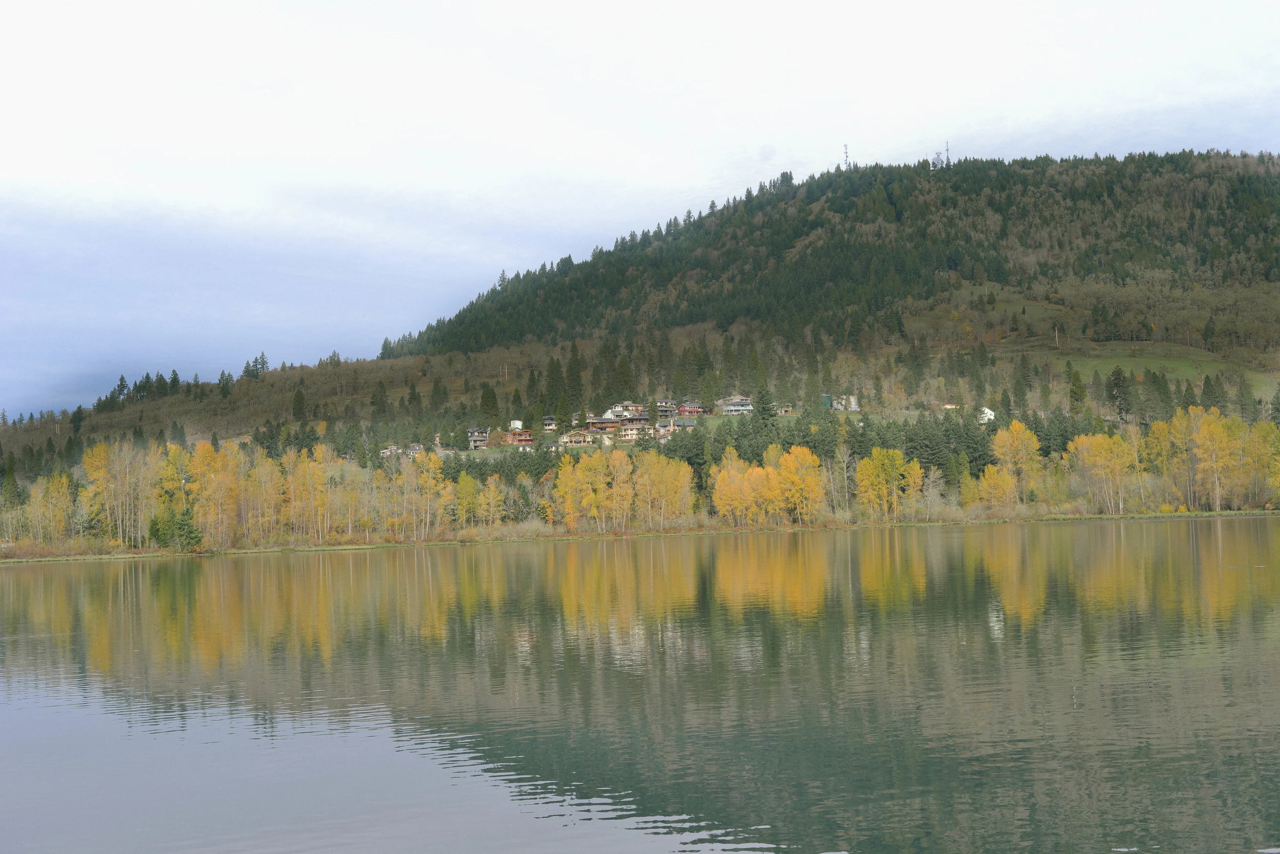DSC_1396.jpg