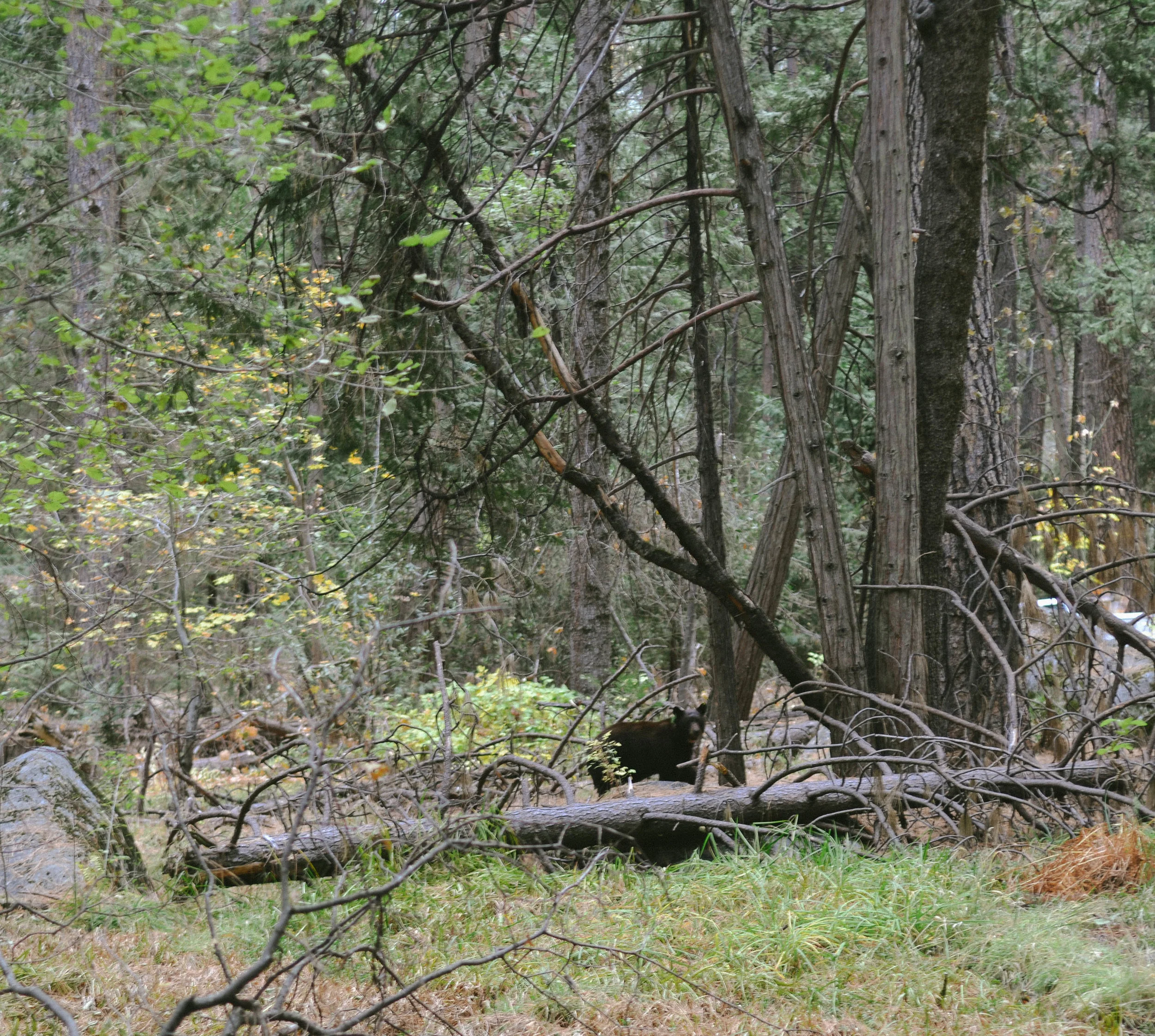 DSC_1722.jpg