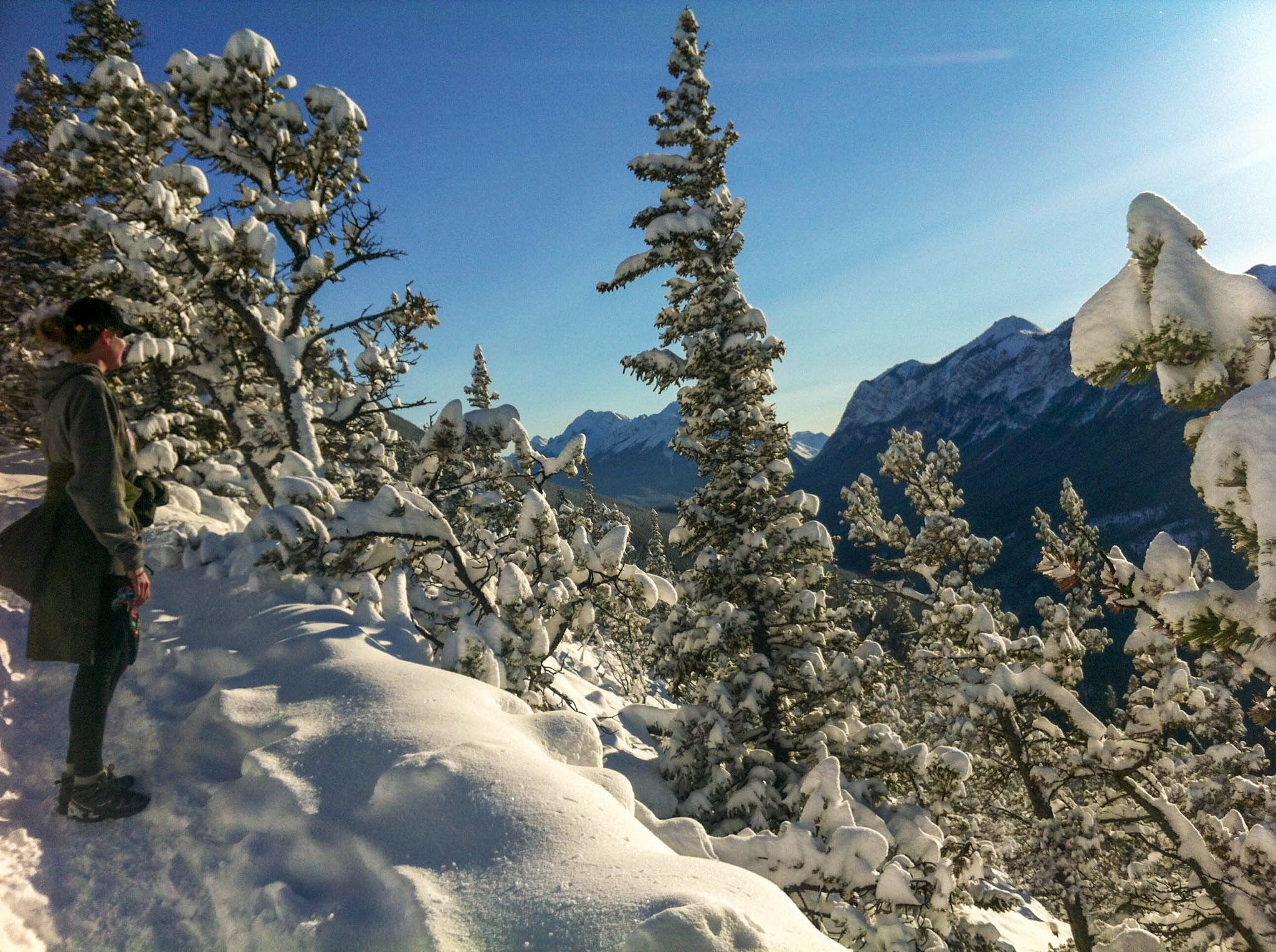 Hiking to the top of Tunnel Mountain.