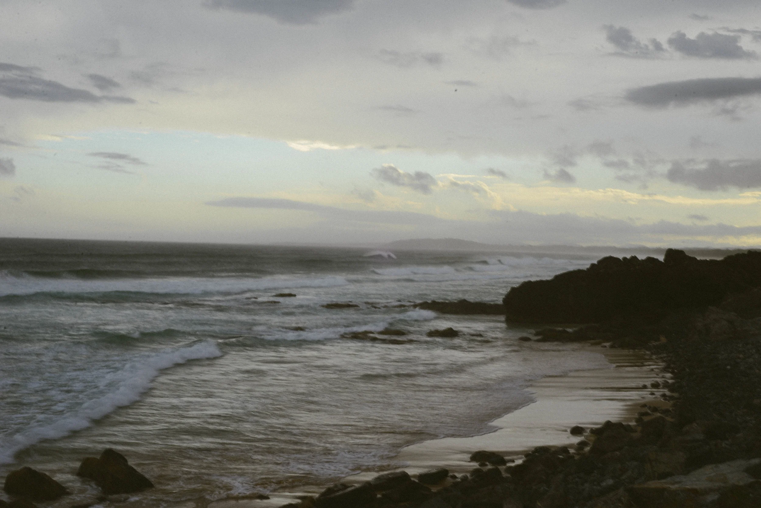 DSC_7879.jpg