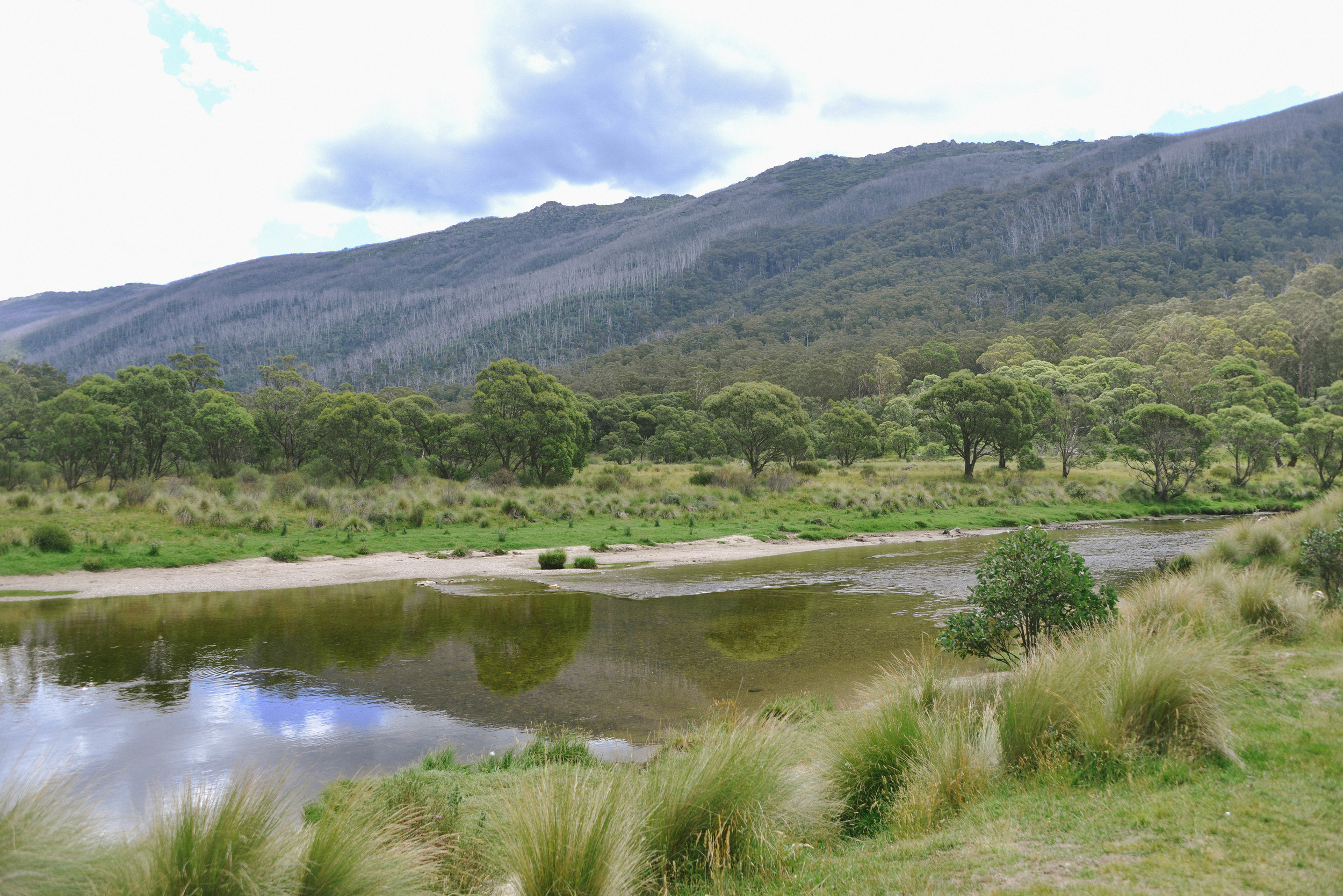 Kosciuszko National Park