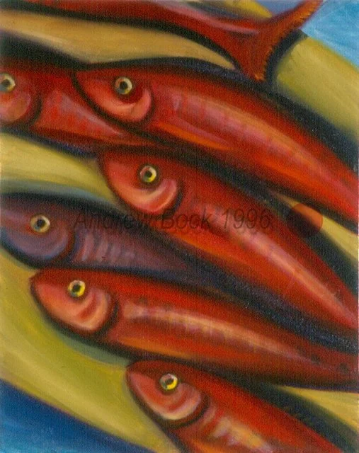 96-redfins.jpg