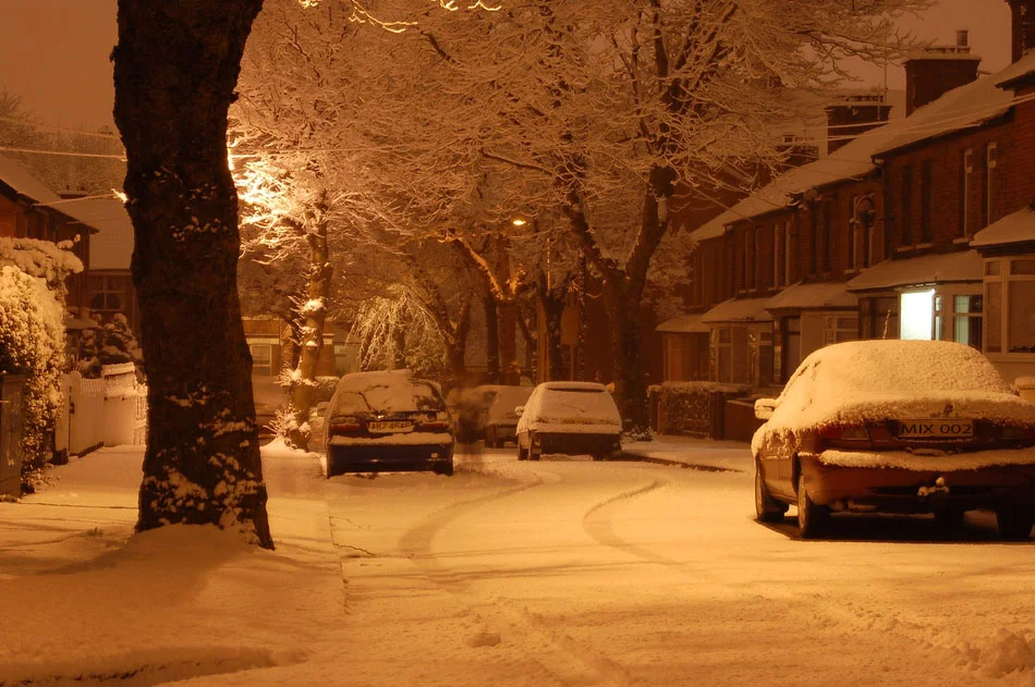 Snow-covered parked cars along a tree-lined residential street at night, illuminated by streetlights.