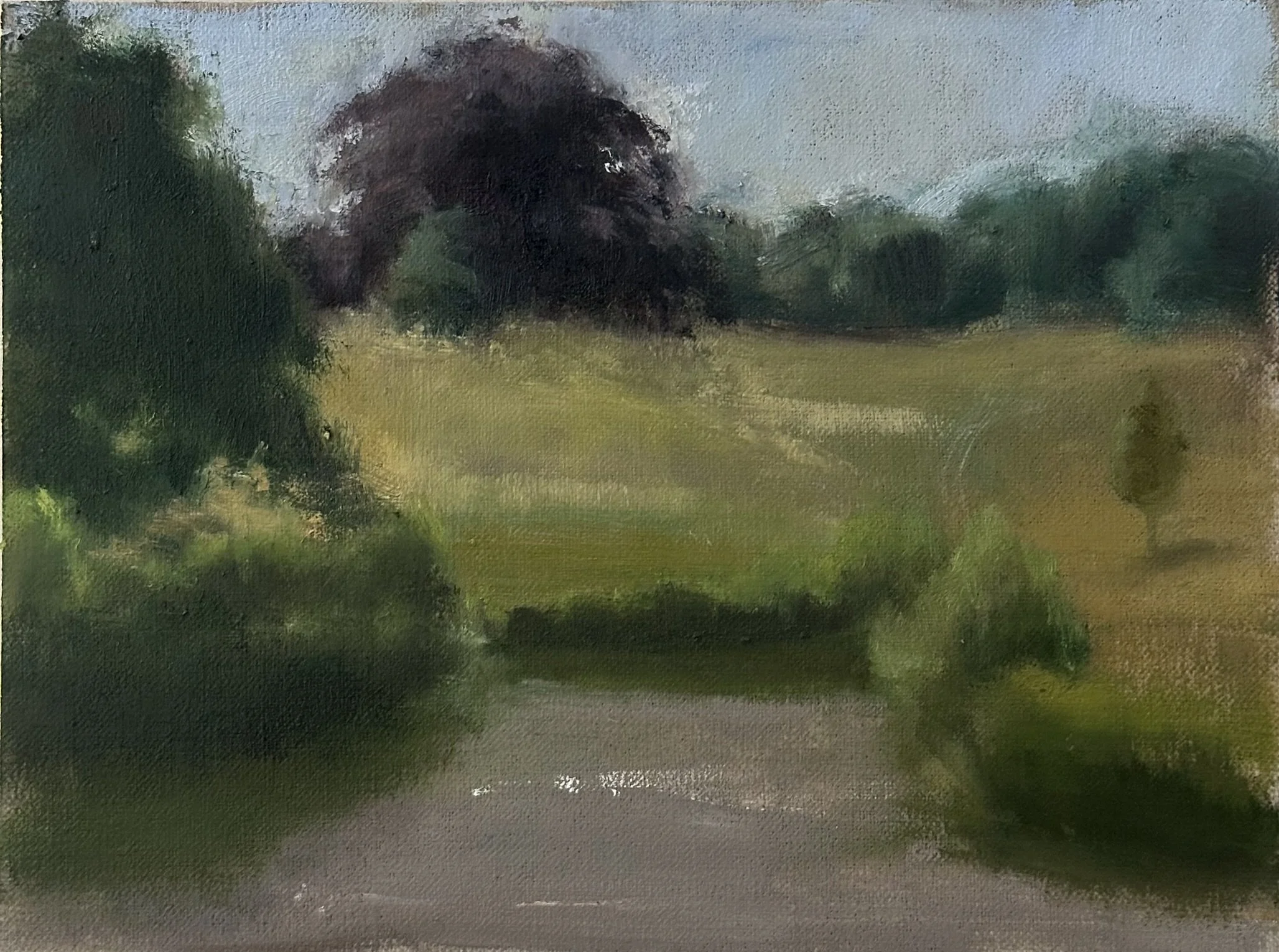  Boating Ponds at Golden Hour, 2025 