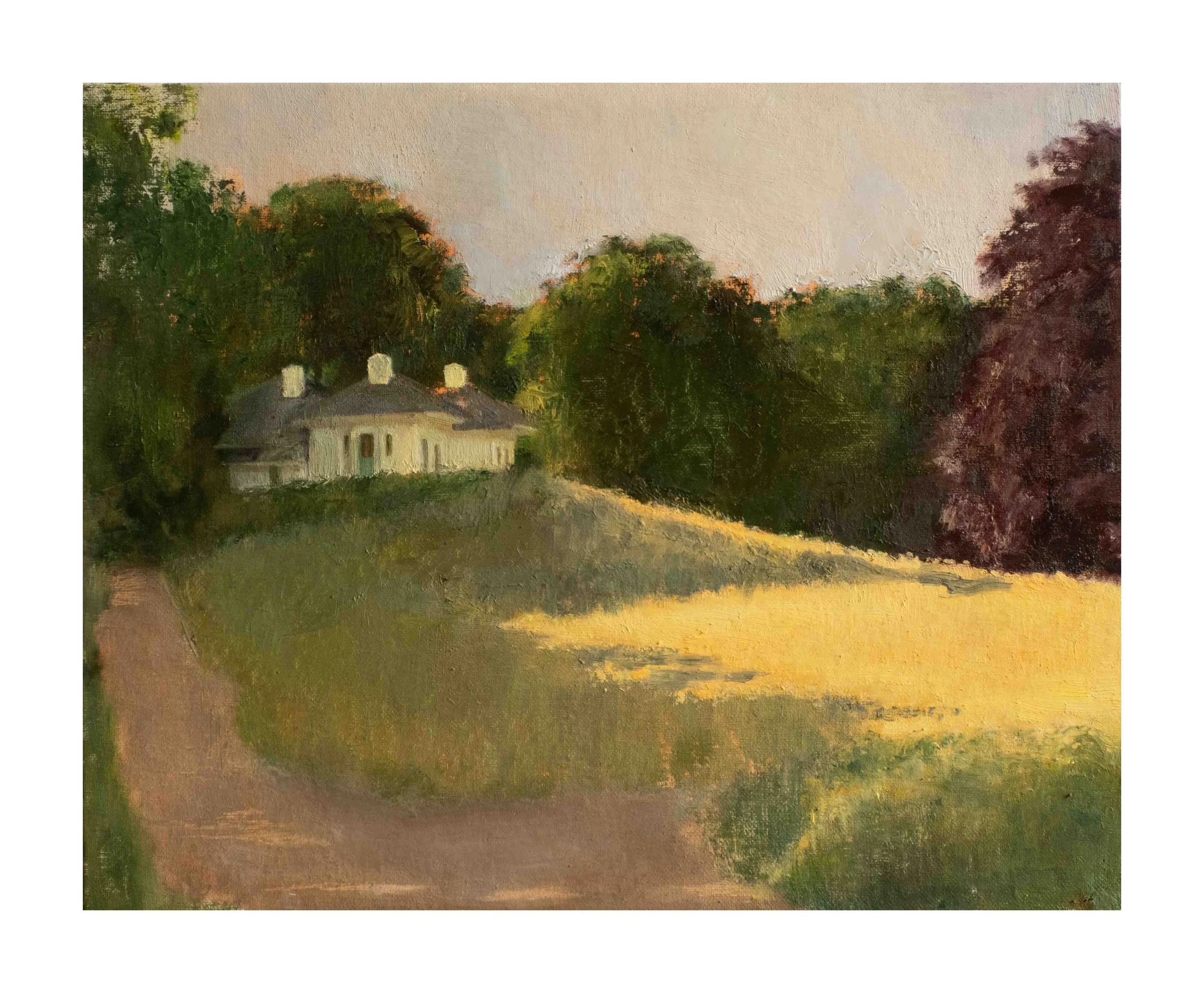 Early Summer's Evening at the Dairy - July 2024