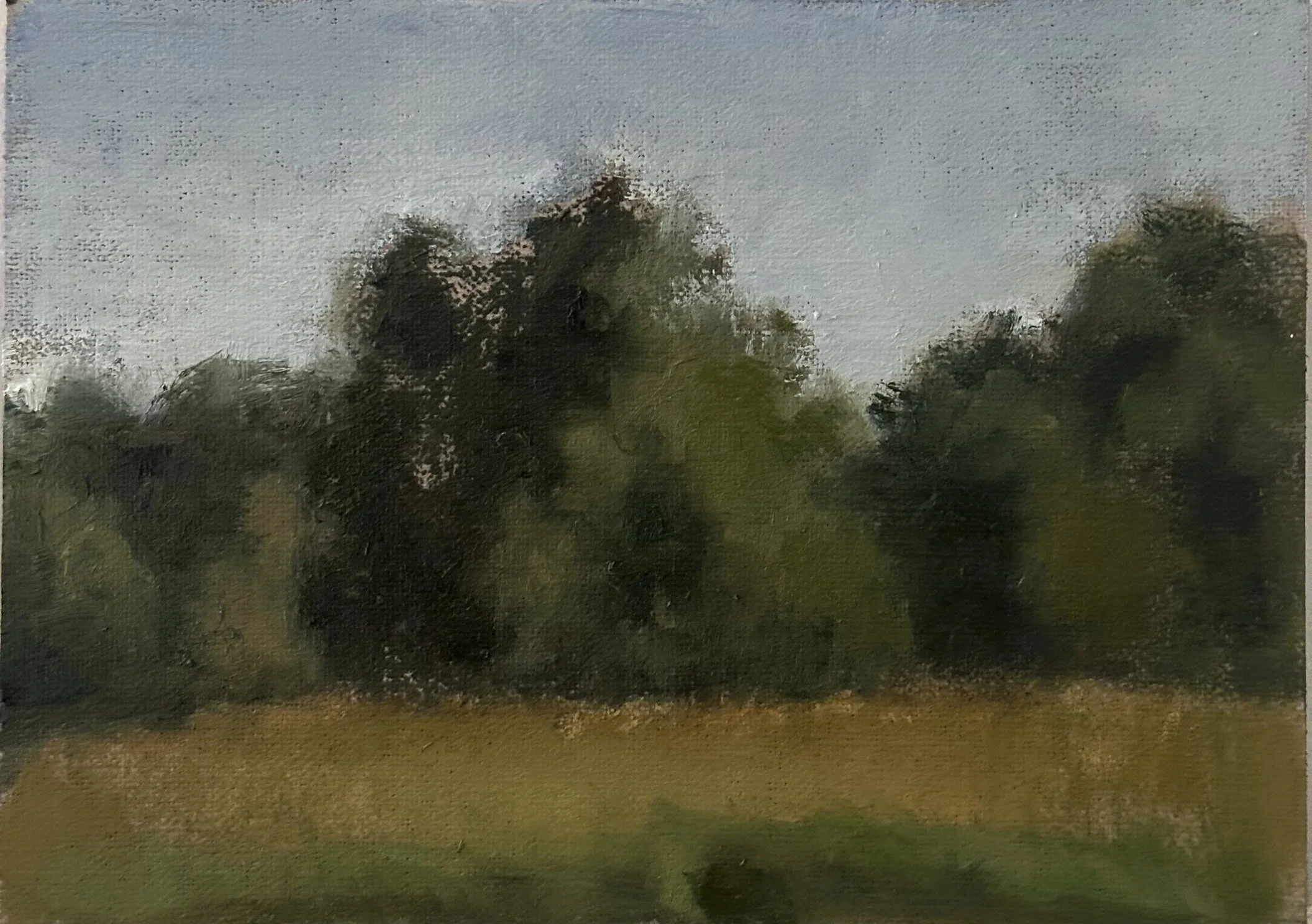 Golden Hour at Hampstead Heath