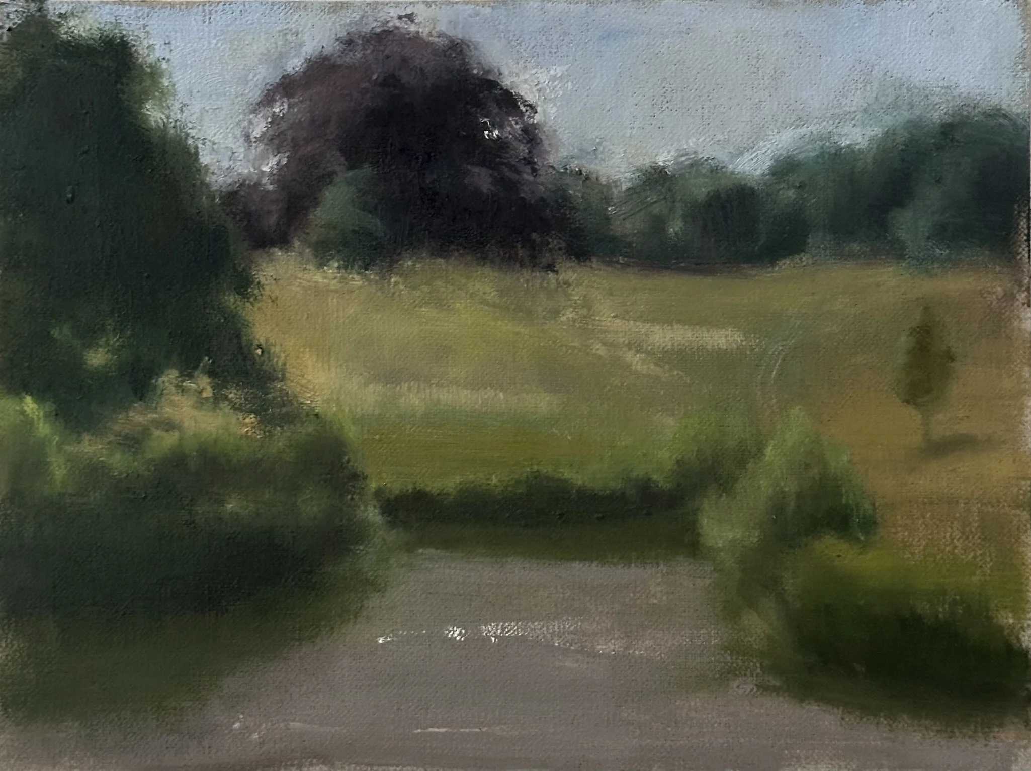 Boating Ponds - Golden Hour at Hampstead Heath