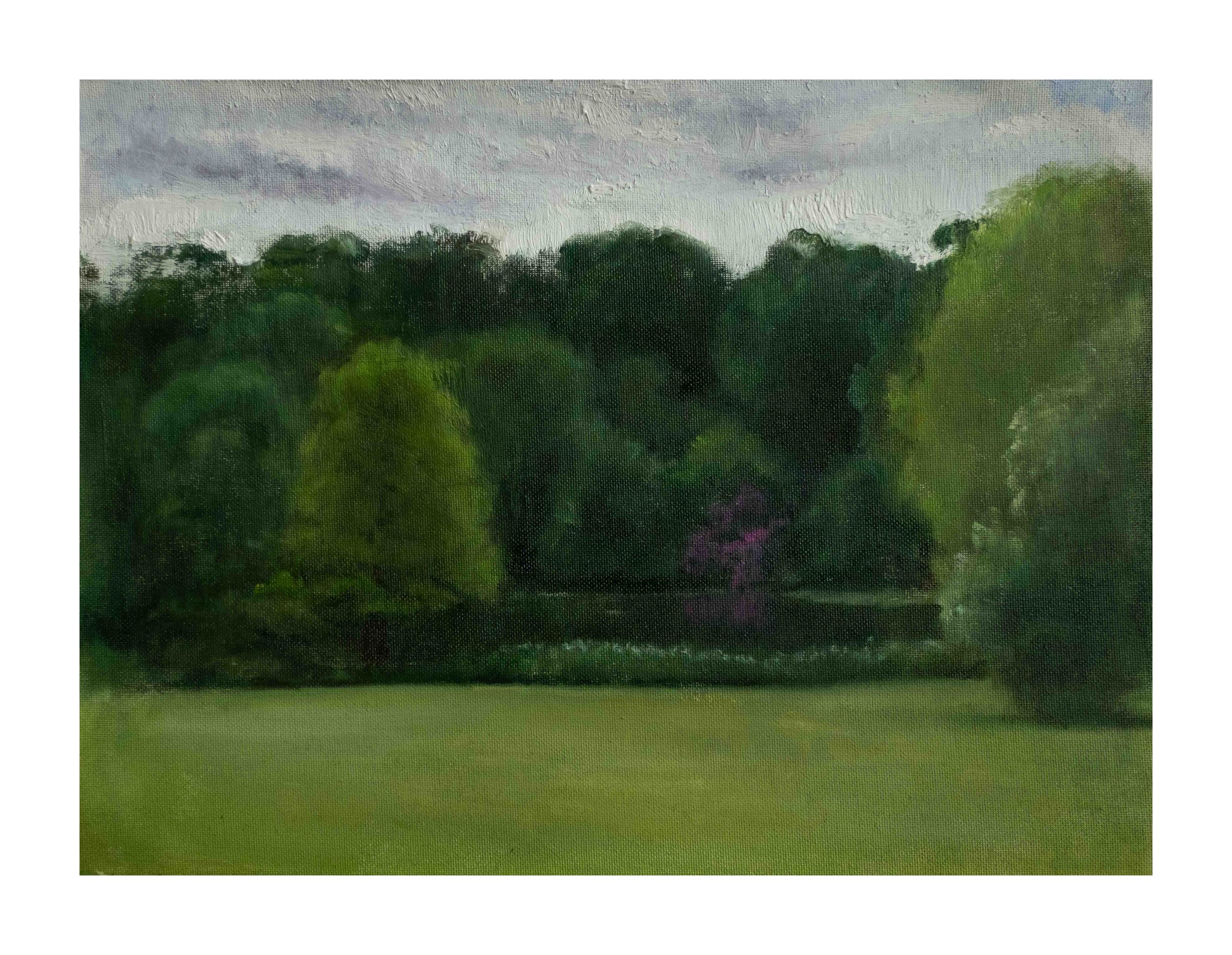 Green Harmonies - Kenwood Grounds - Hampstead Heath - June 2024
