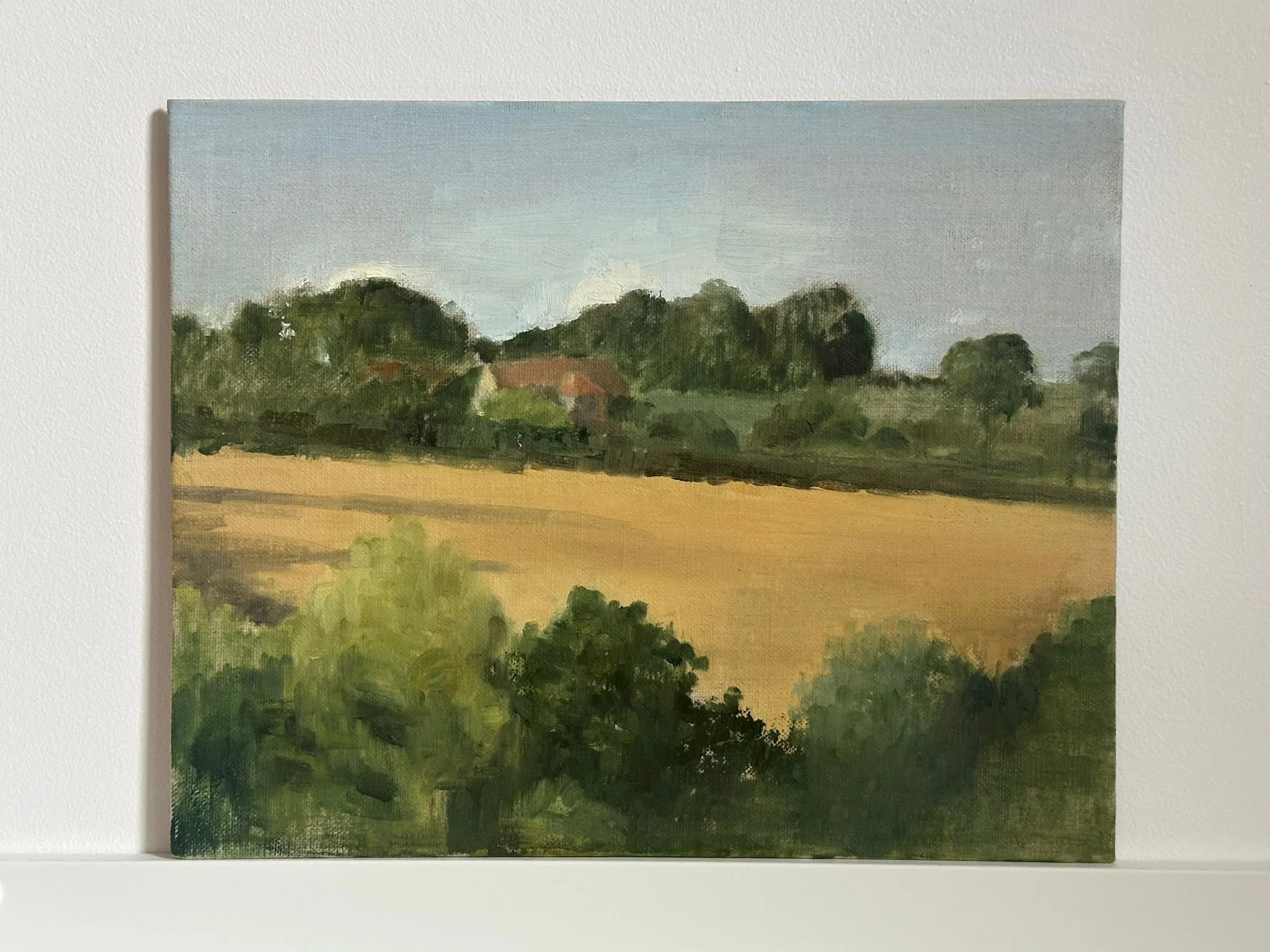 Evening walk in Stalbridge Weston, Summer 2024