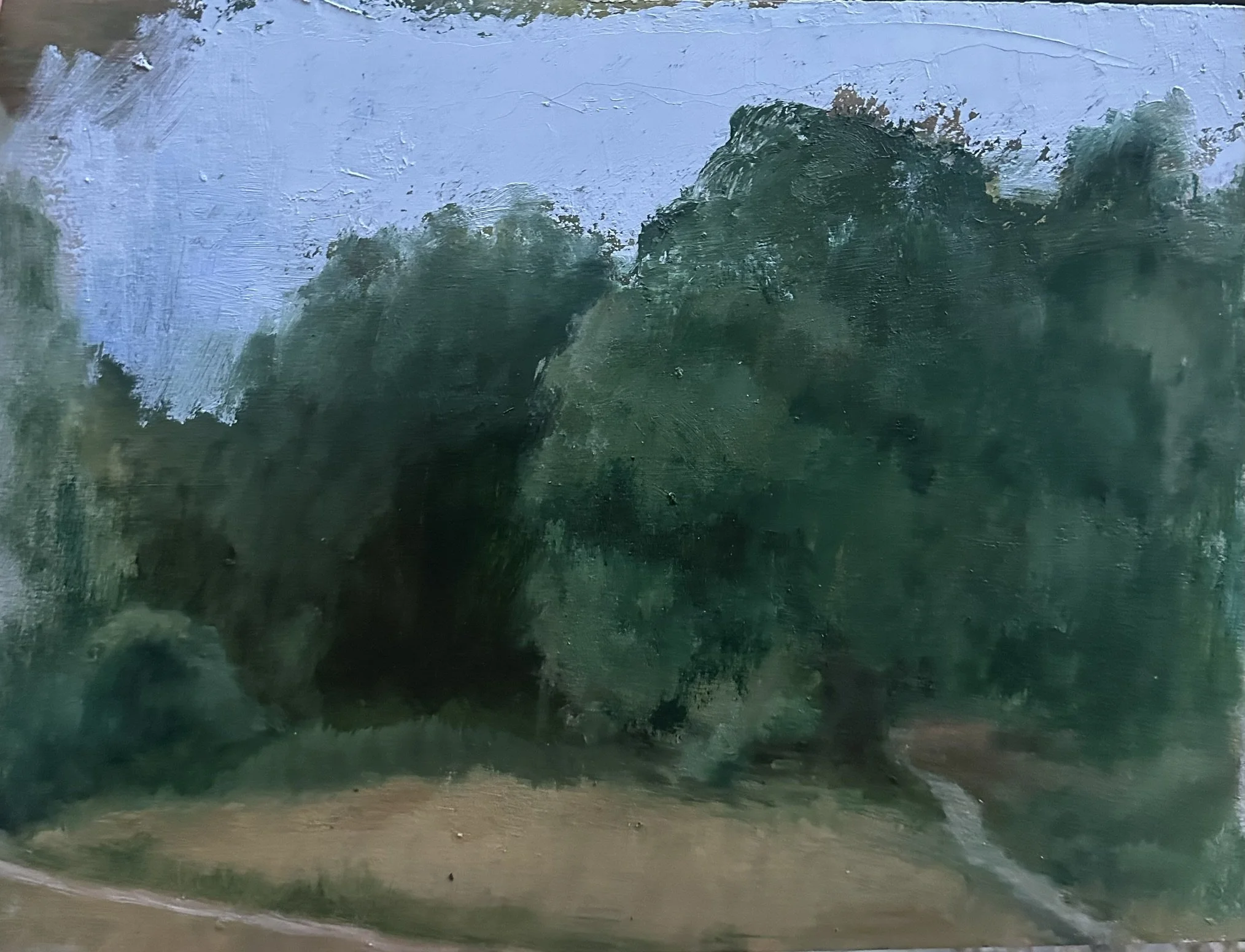 Heath in the Evening - Oil Sketch