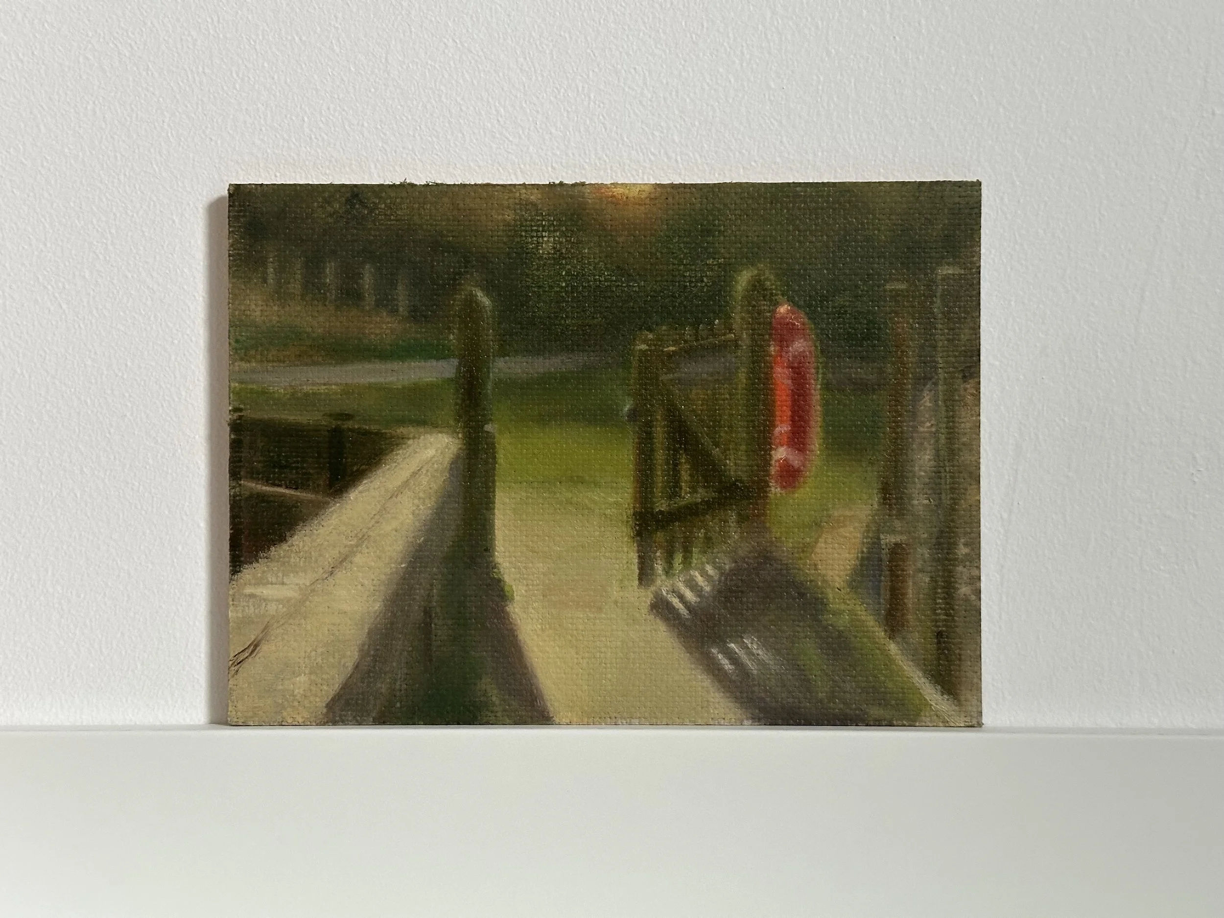 Golden Hour at the Men's Pond -  Hampstead Heath