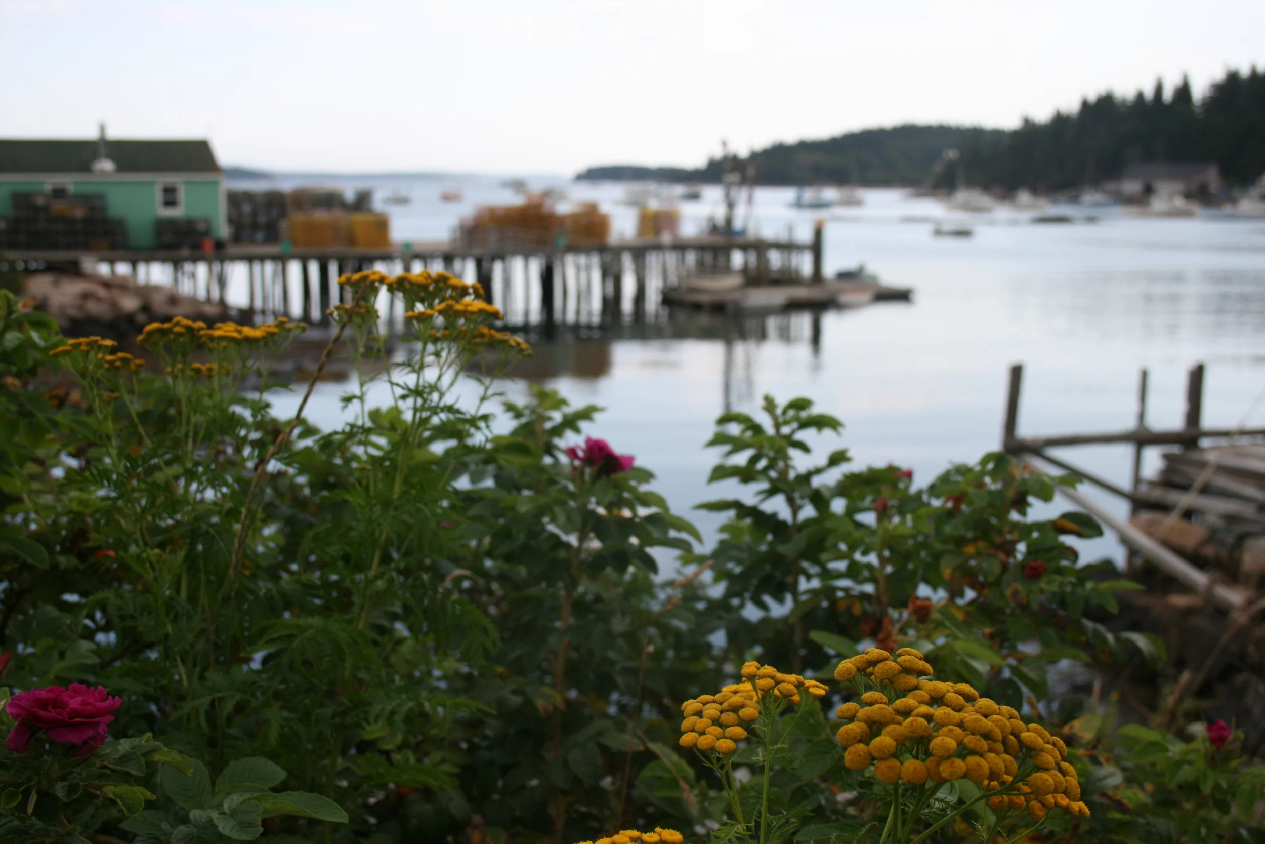 Stonington, Maine 2011