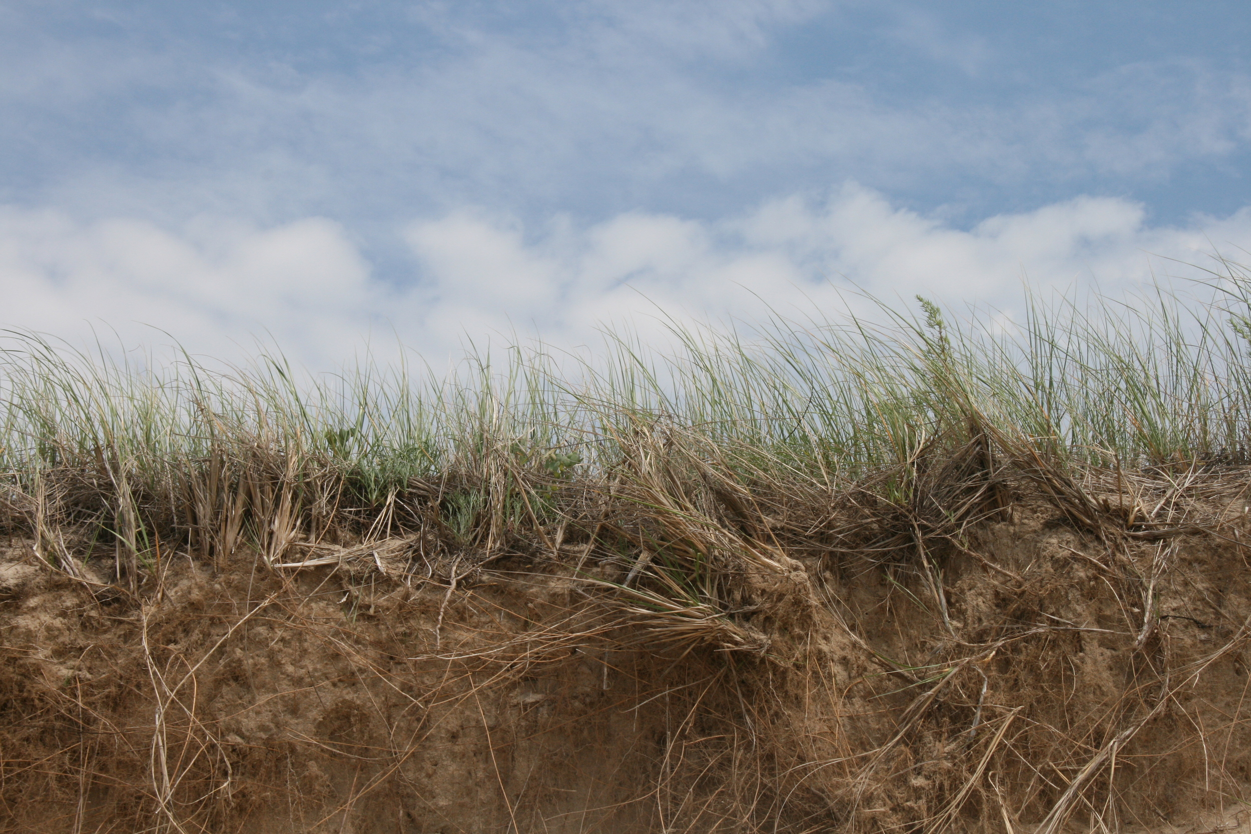 Cape Cod, Massachusetts 2010