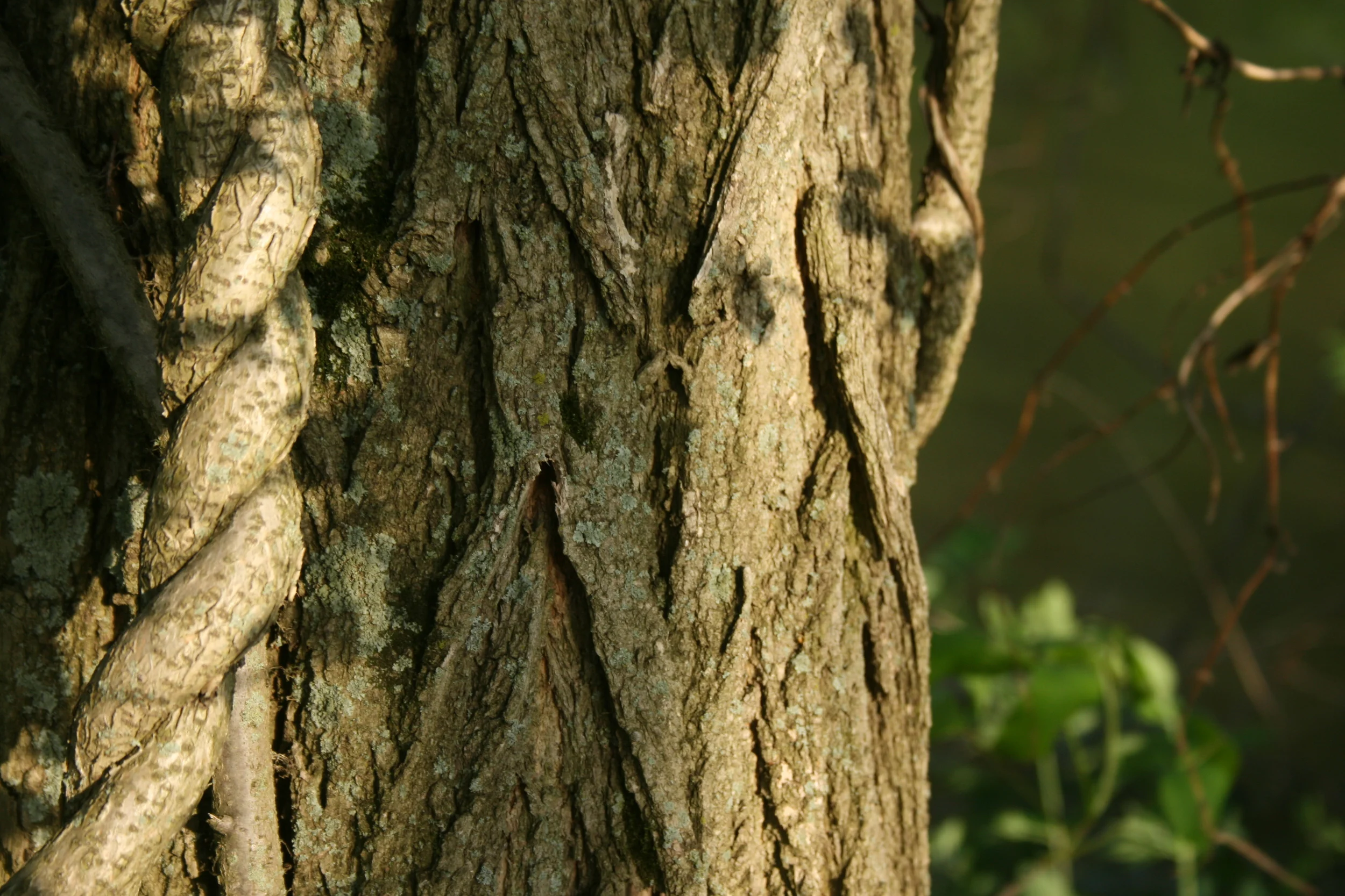 Princeton, New Jersey 2011