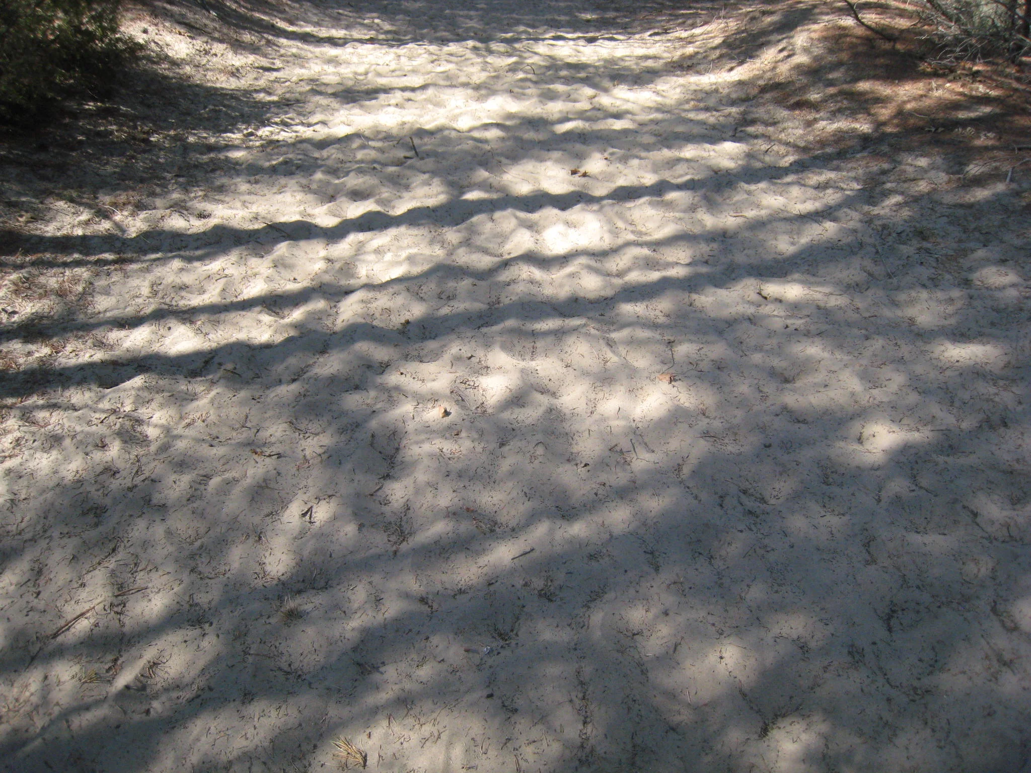 Ogden Dunes, Indiana 2010